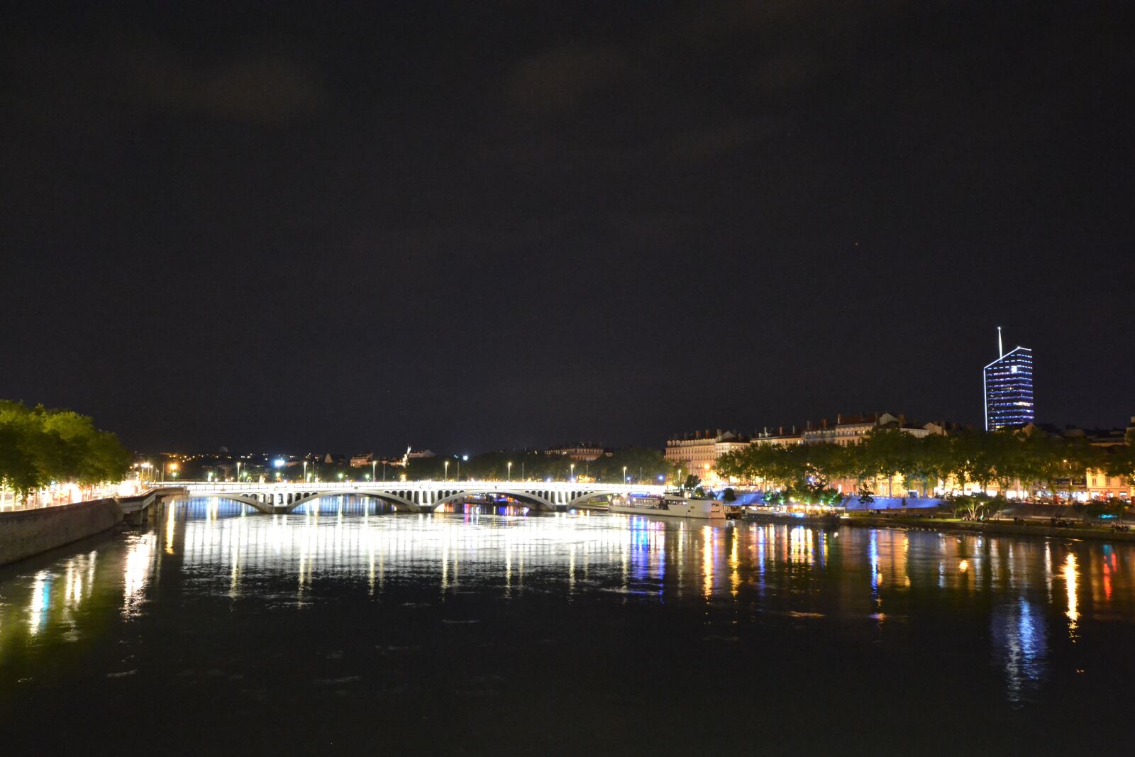 Nikon D3100 sample photo. Lyon, night, river photography