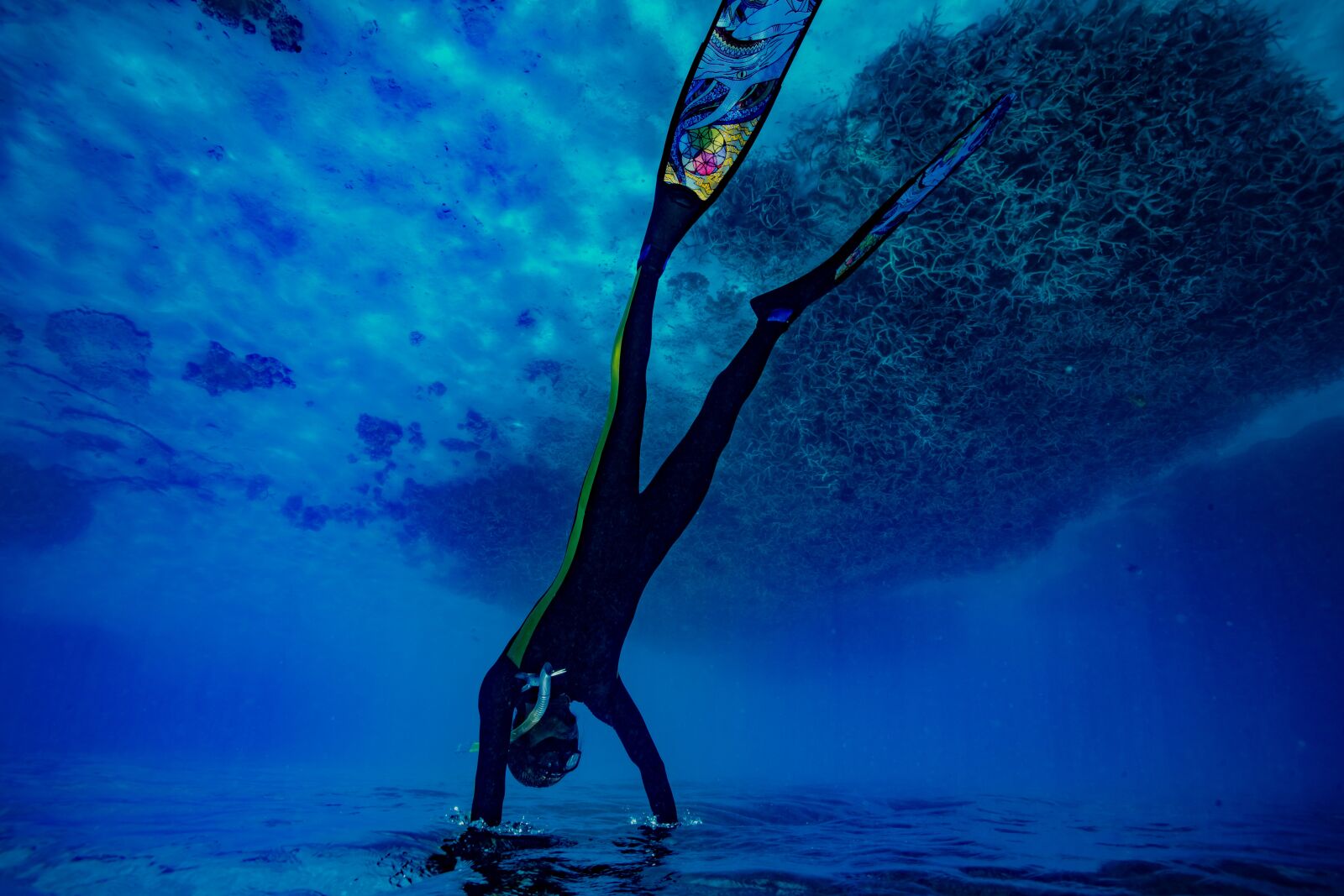 Nikon D5 sample photo. Underwater, waters, marine photography