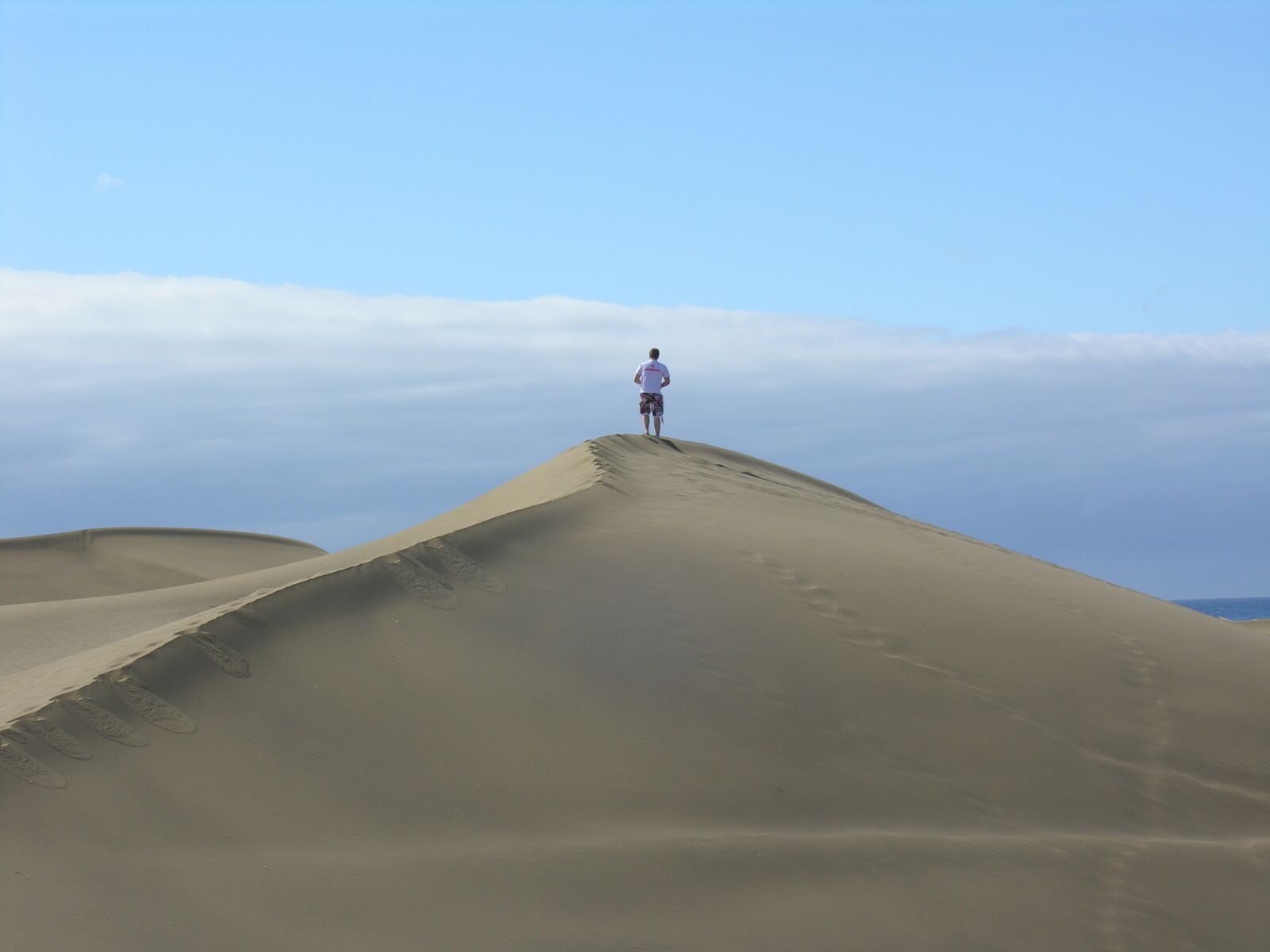 Nikon E8800 sample photo. Desert, sand, dune photography