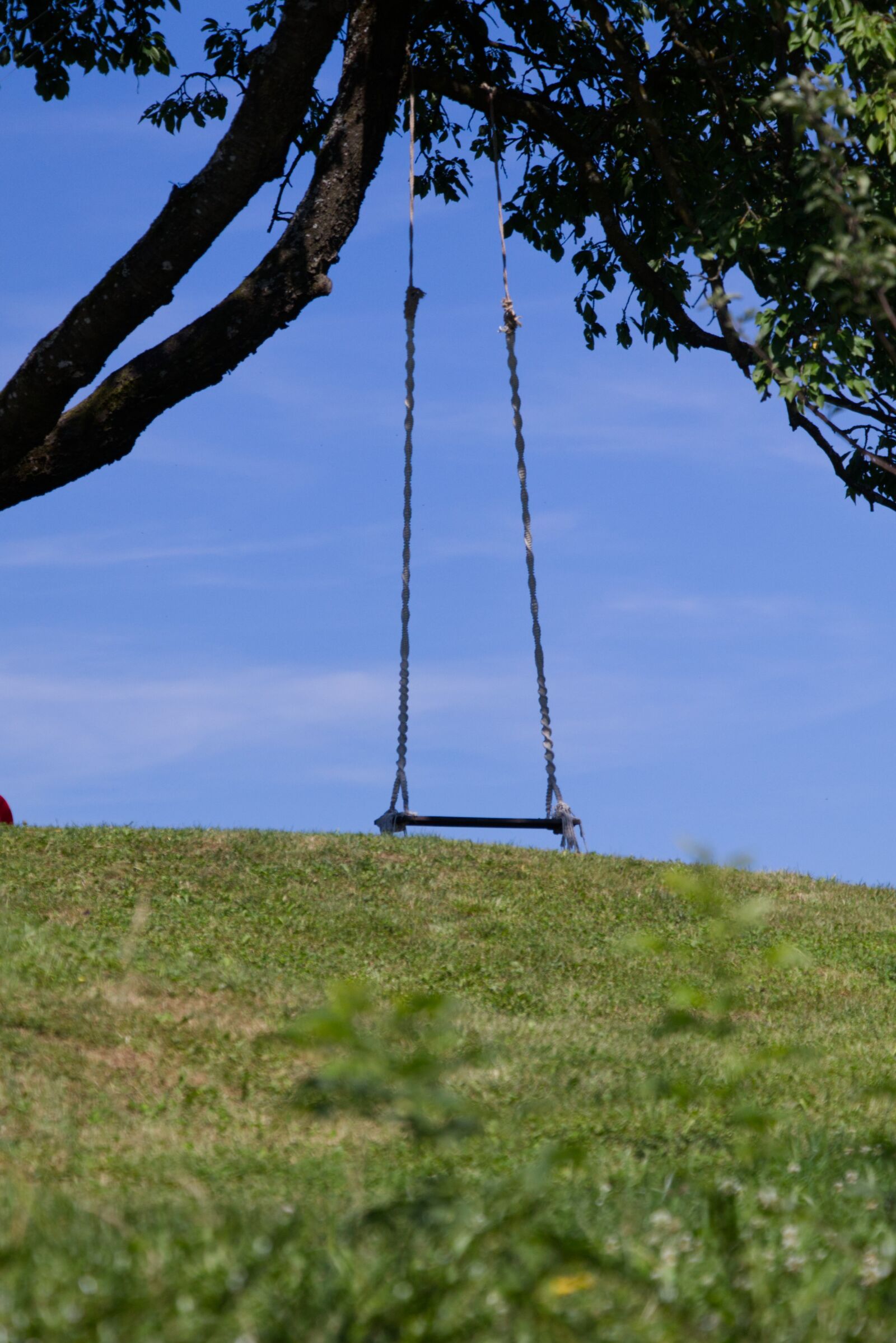 Canon EOS 800D (EOS Rebel T7i / EOS Kiss X9i) sample photo. Swing, outdoor, outdoors photography
