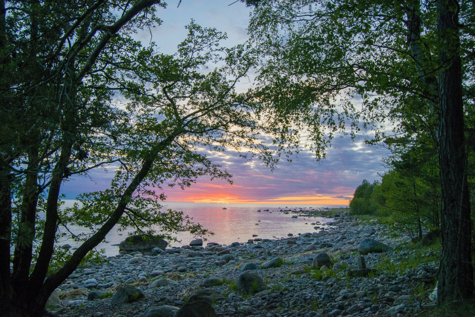Nikon D3300 sample photo. Pärispea, peninsula, estonia photography