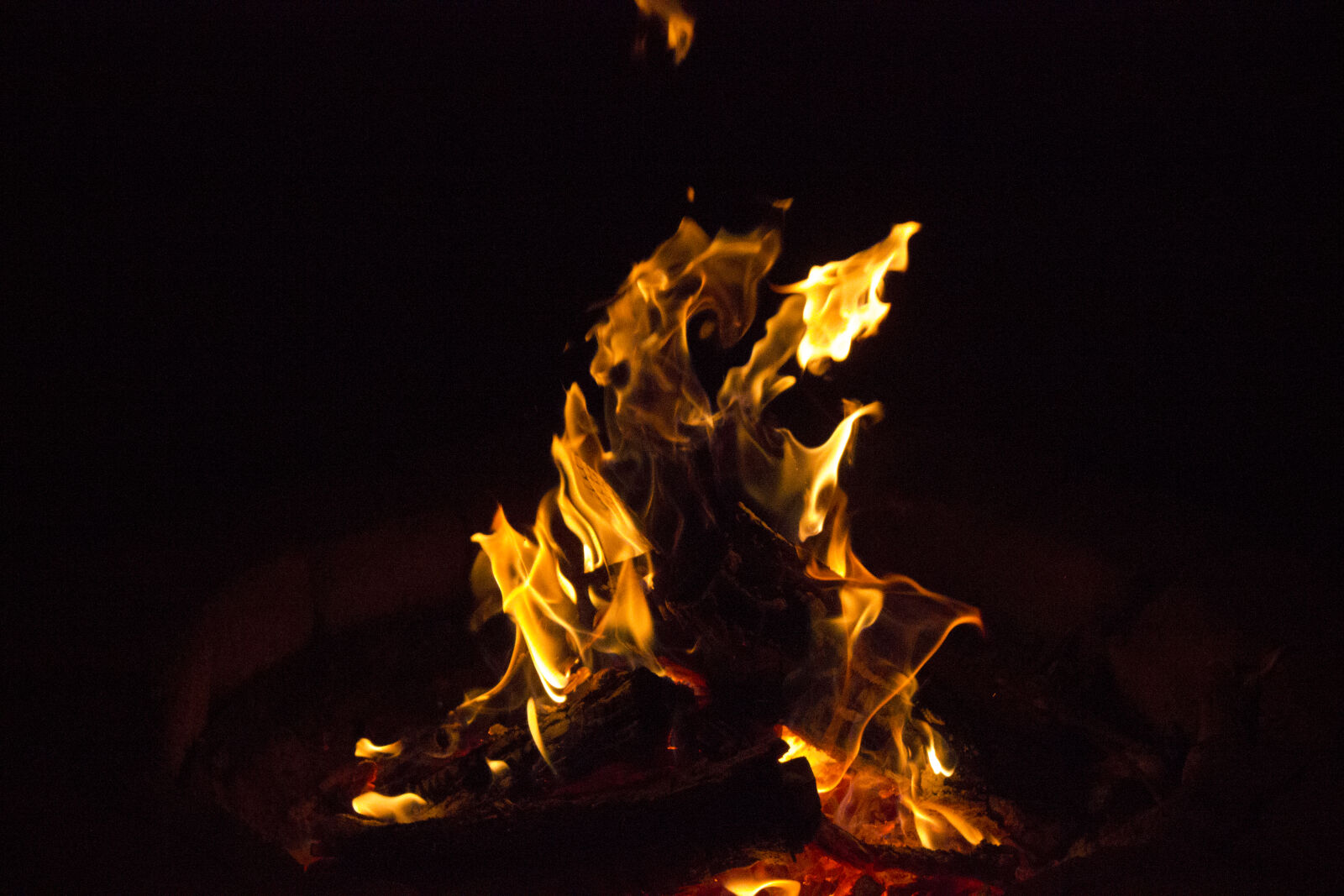 Canon EOS 550D (EOS Rebel T2i / EOS Kiss X4) sample photo. Camp, fire, fire, flames photography