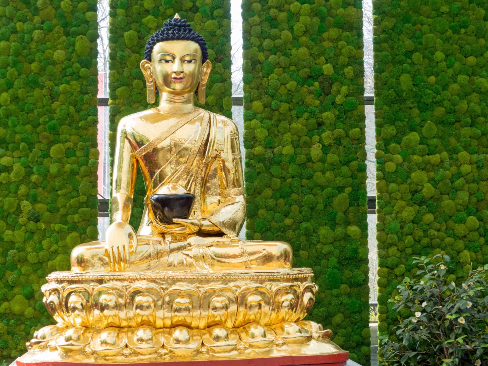 Panasonic Lumix DMC-FZ200 sample photo. Buddha, bremen, statue photography