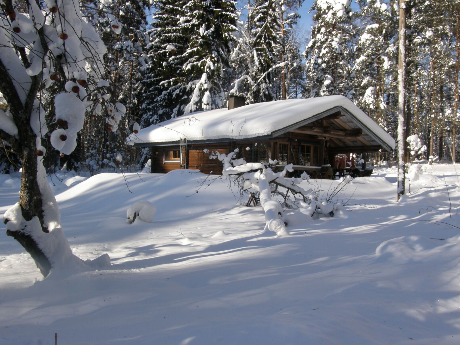 Olympus SP550UZ sample photo. Winter, snow, house photography
