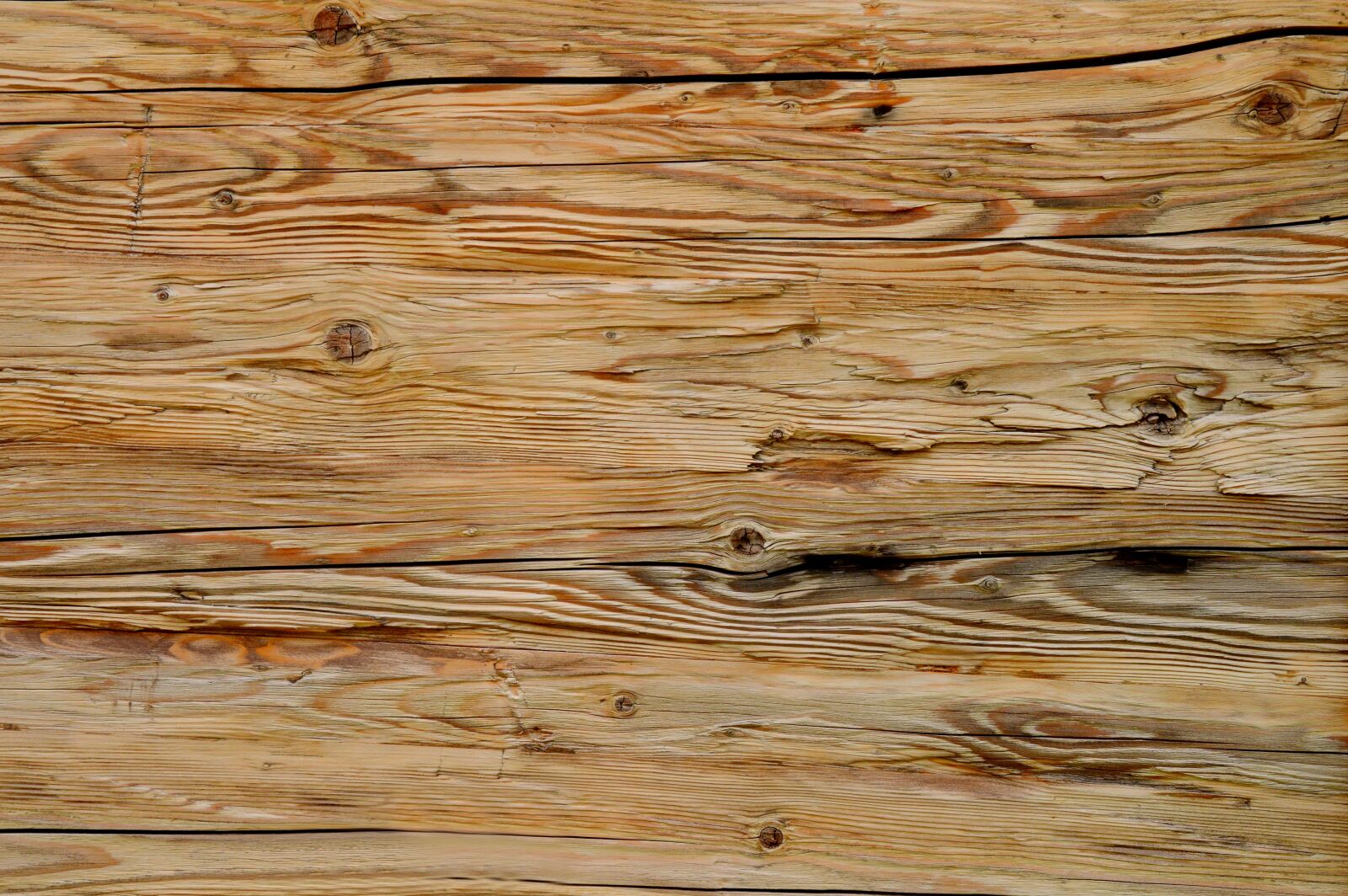 Nikon D3200 sample photo. Texture, wood grain, grain photography