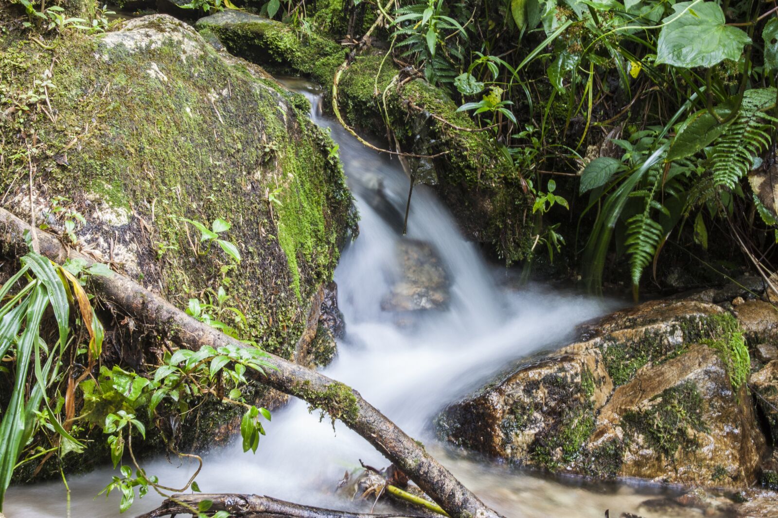 Canon EF-S 18-55mm F3.5-5.6 IS sample photo. Water, brook, natural water photography