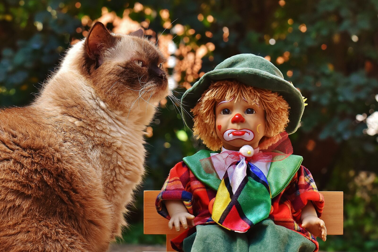 Nikon D7200 sample photo. Doll, clown, sad photography