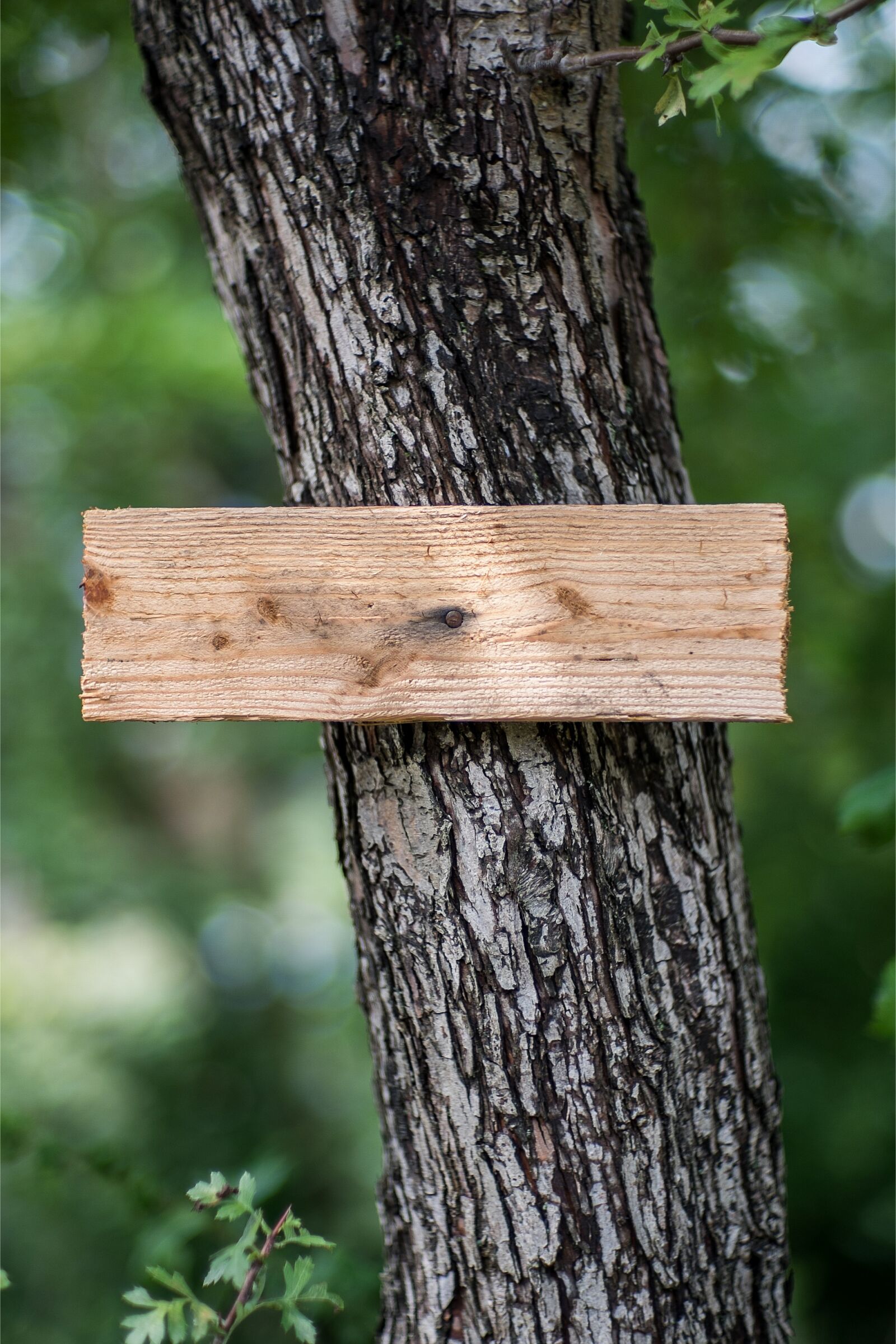 Fujifilm X-E1 sample photo. Sign, tablet, signpost photography