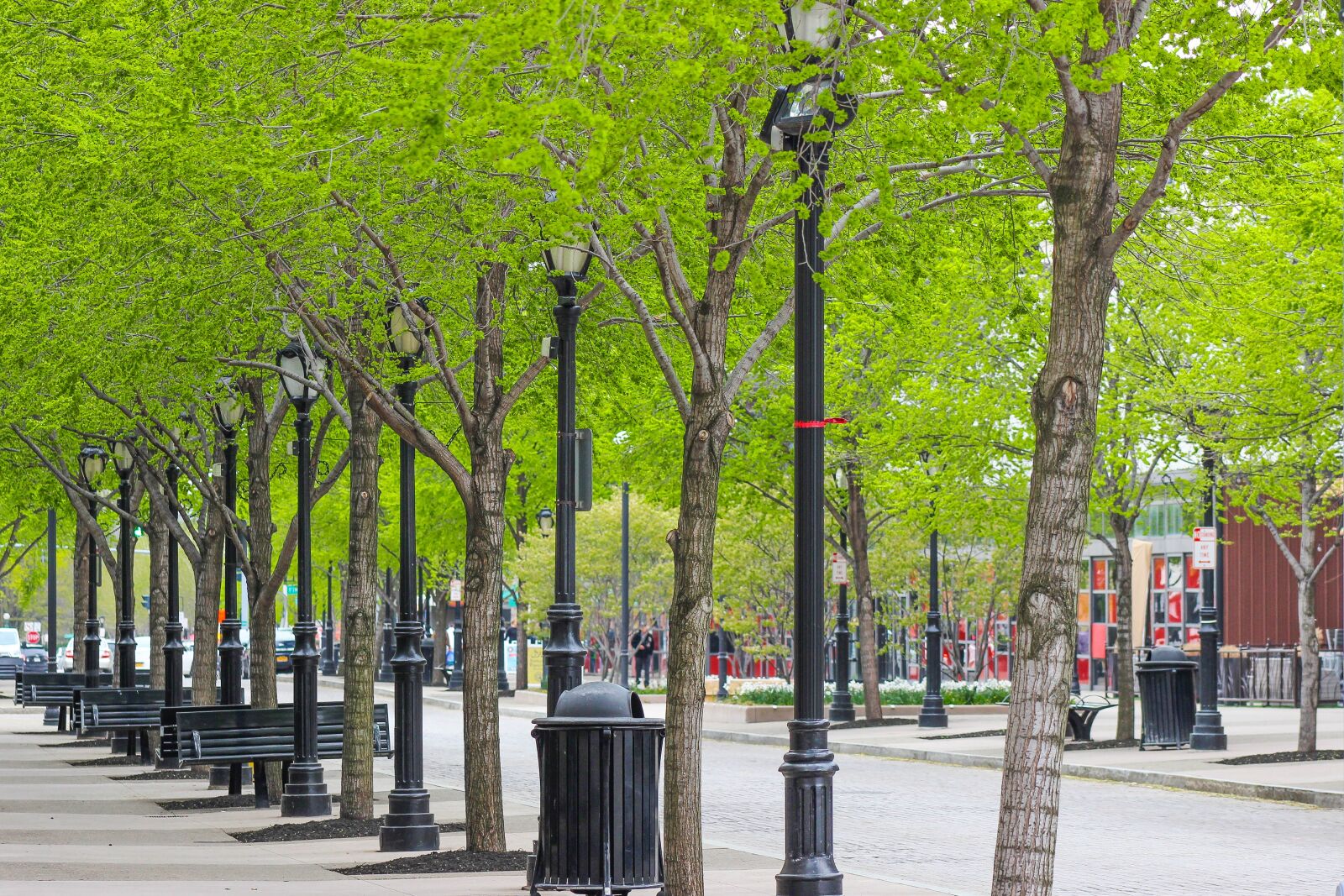 Canon EOS 600D (Rebel EOS T3i / EOS Kiss X5) sample photo. City, trees, lights photography