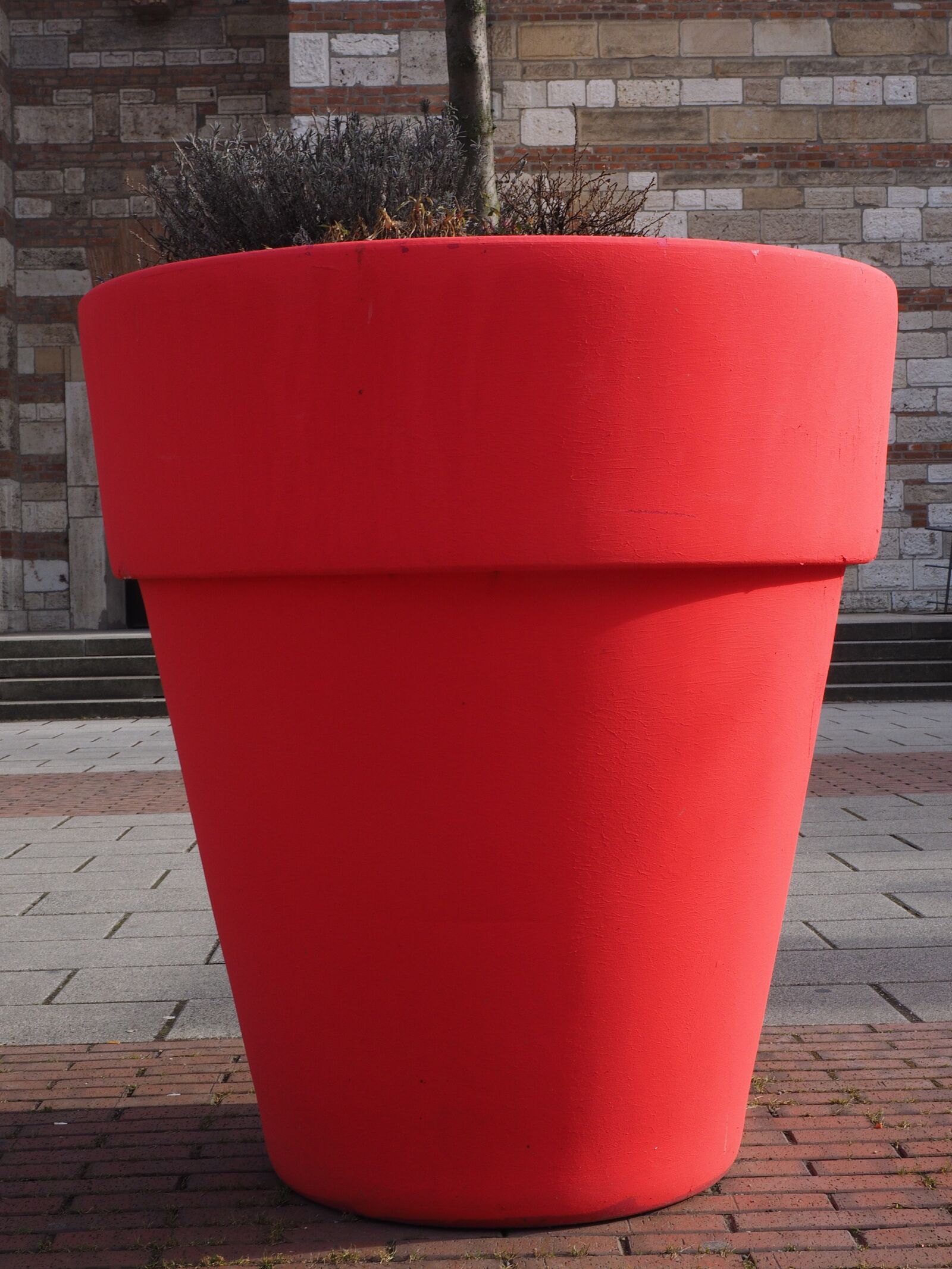 Olympus OM-D E-M1 + Olympus M.Zuiko Digital ED 12-40mm F2.8 Pro sample photo. Flowerpot, plus size, red photography