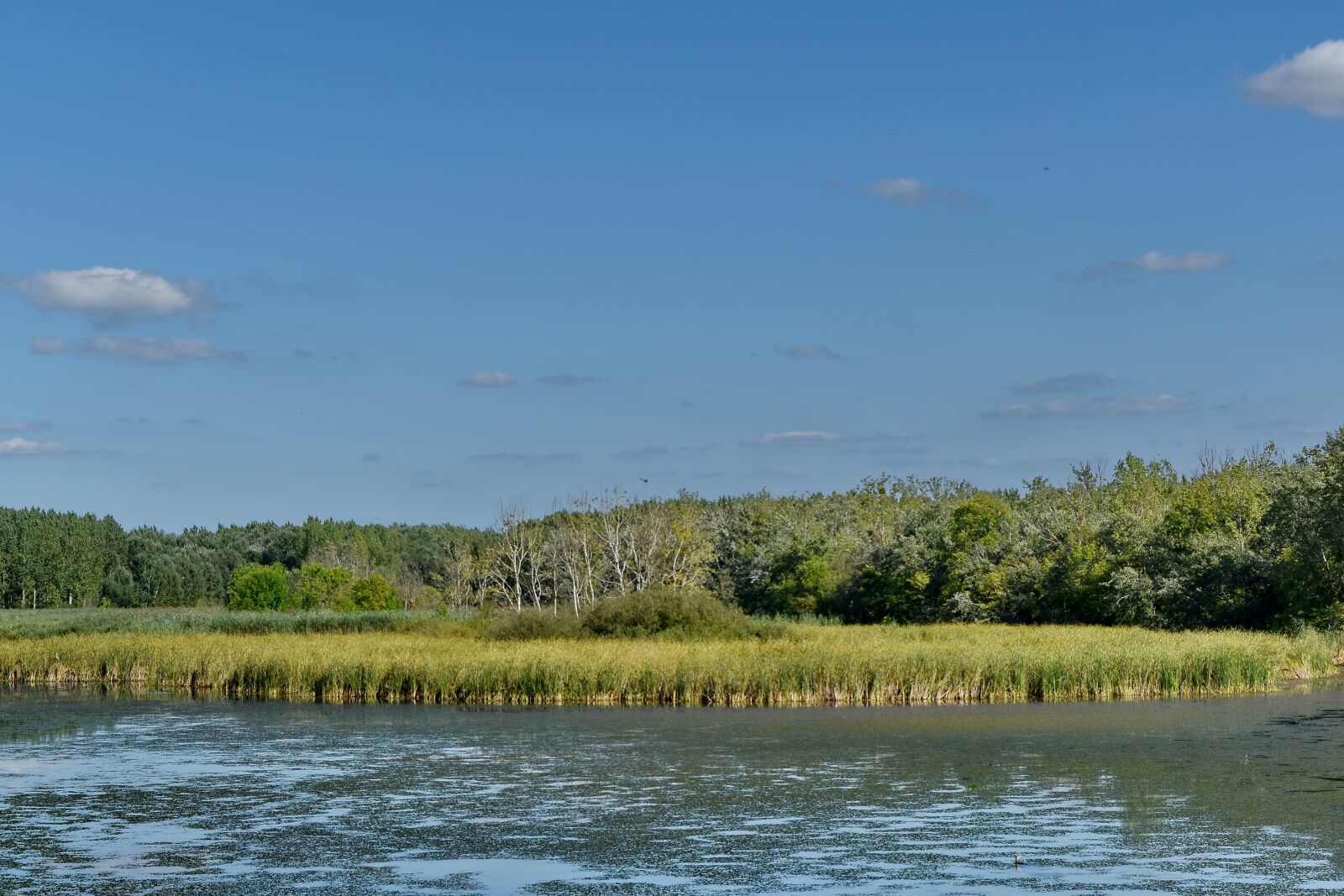 Nikon D5500 sample photo. Marshland, nature, landscape, lake photography