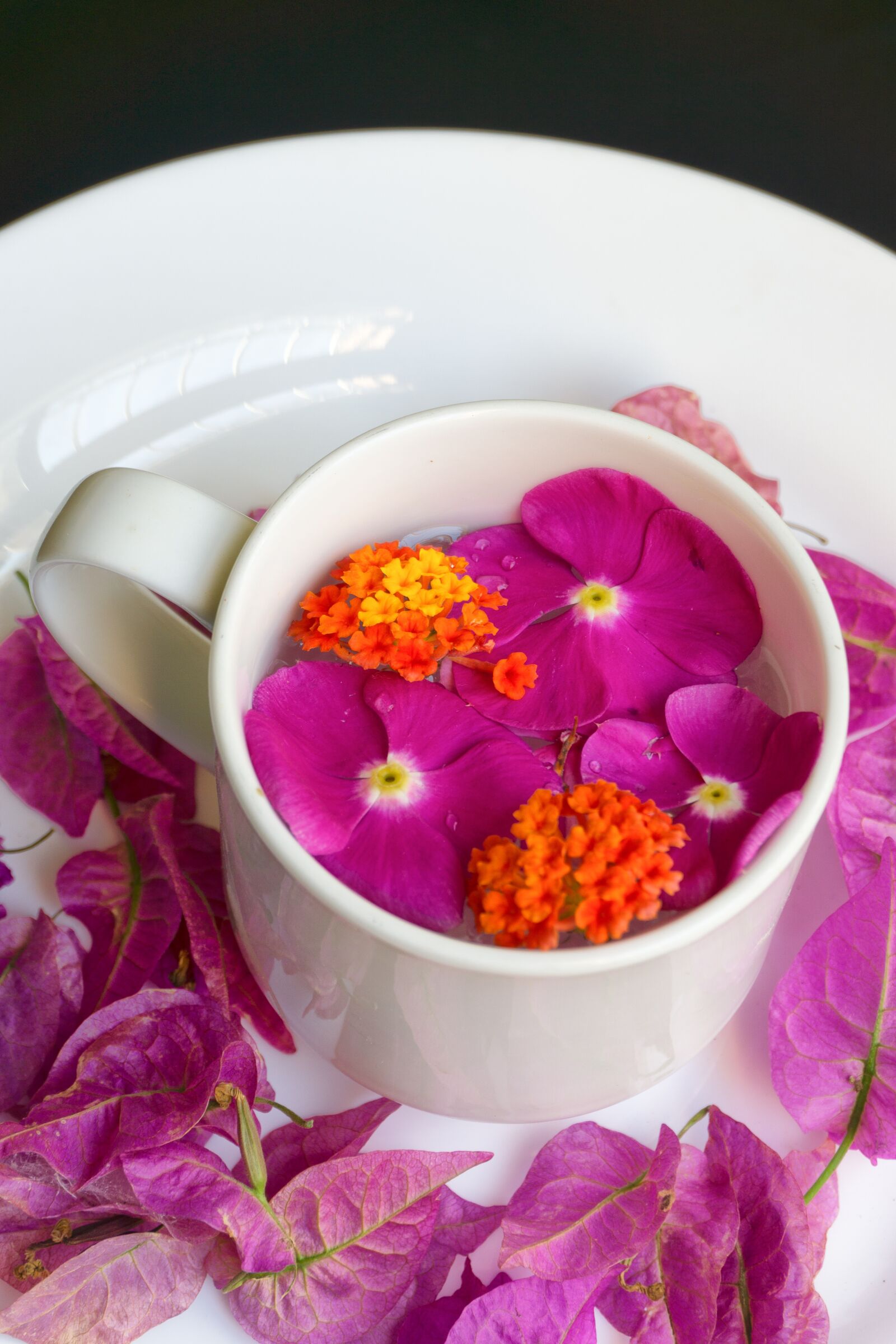 Sony a6000 sample photo. Roses, cup, flowers photography