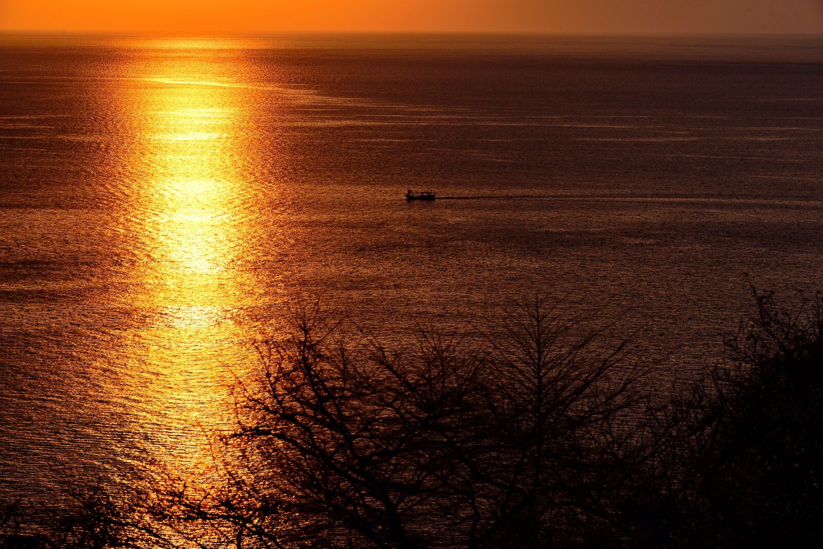Nikon D800 sample photo. Great prints philippines, george photography
