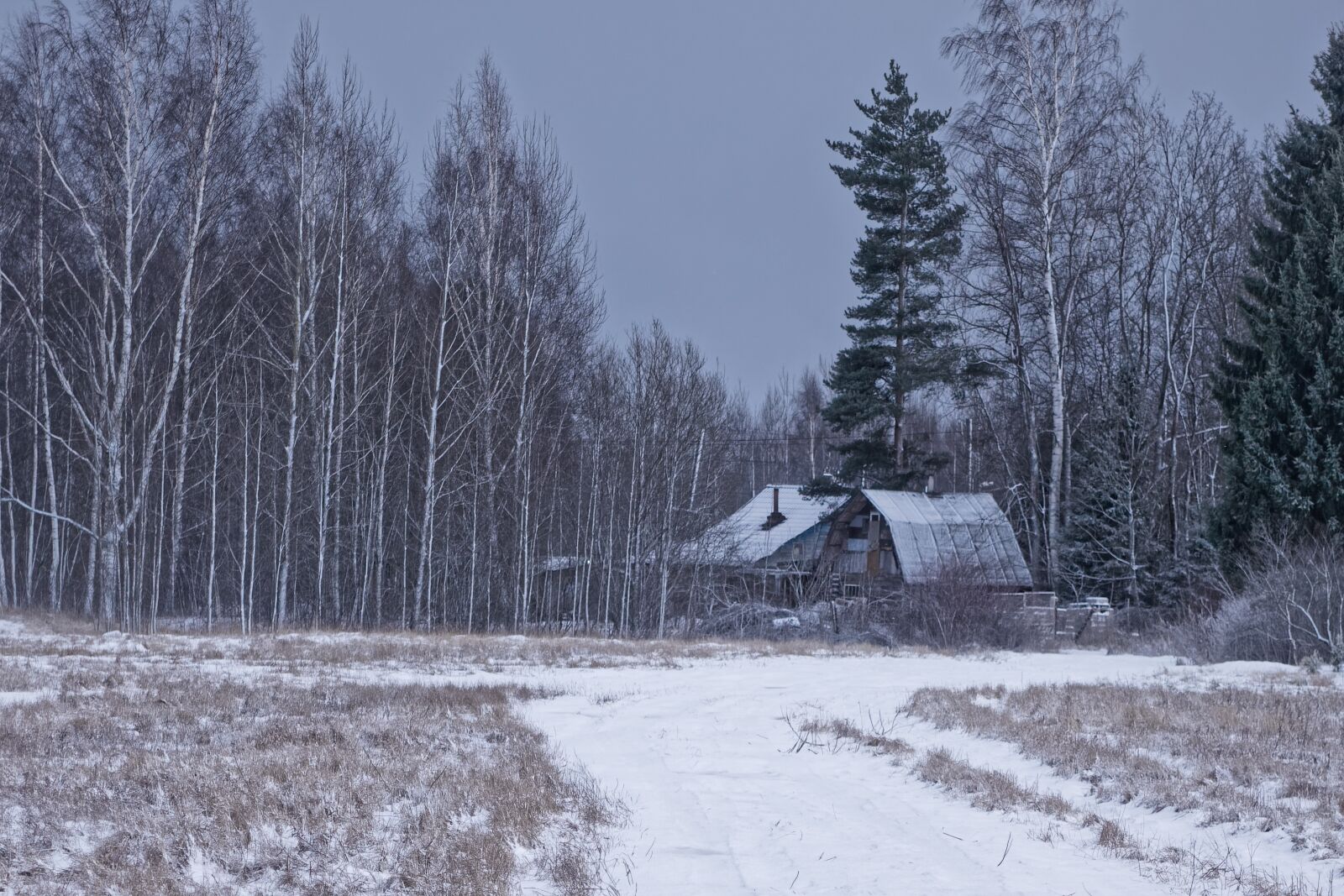 Canon EOS 500D (EOS Rebel T1i / EOS Kiss X3) sample photo. Winter, cottage, snow photography