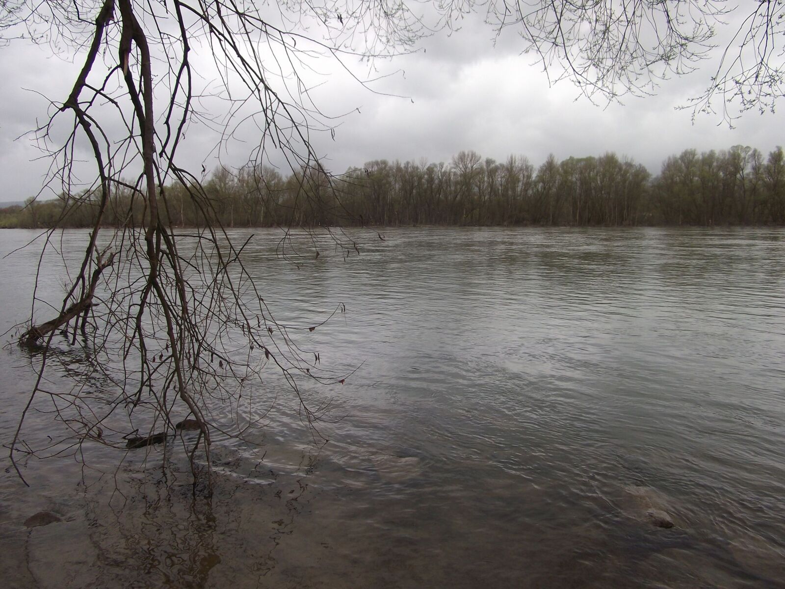 Fujifilm FinePix JX220 sample photo. Rhine, river, water photography
