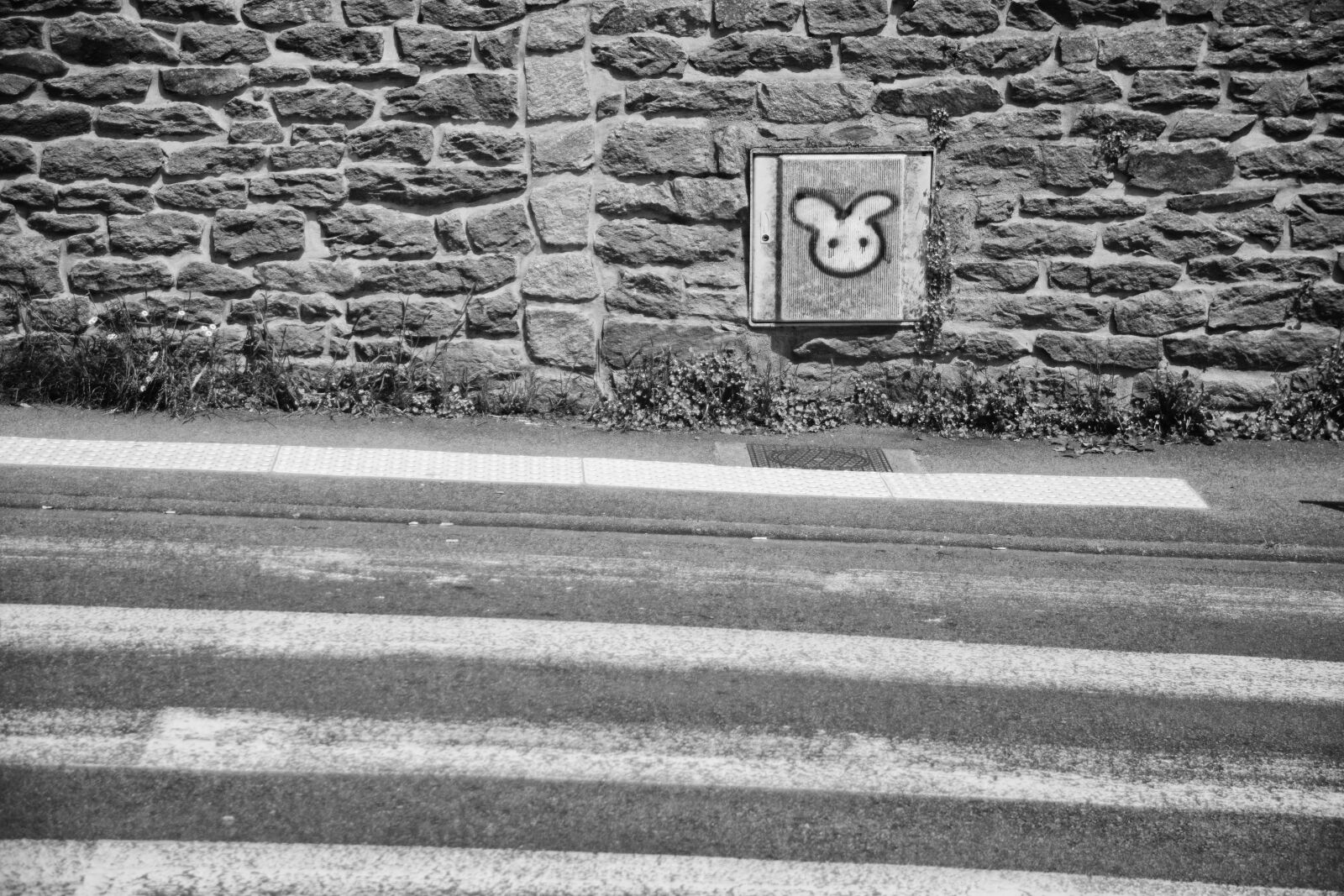 Nikon D5200 sample photo. Etiquette, graffitis, mur, noir photography