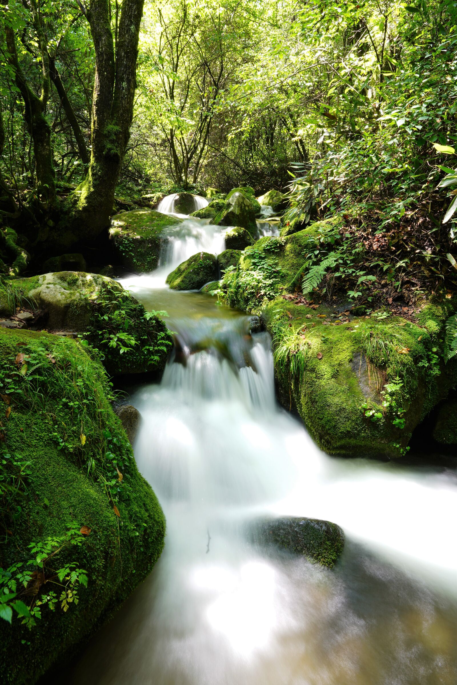 Sony FE 24-105mm F4 G OSS sample photo. Valley, water, clean photography