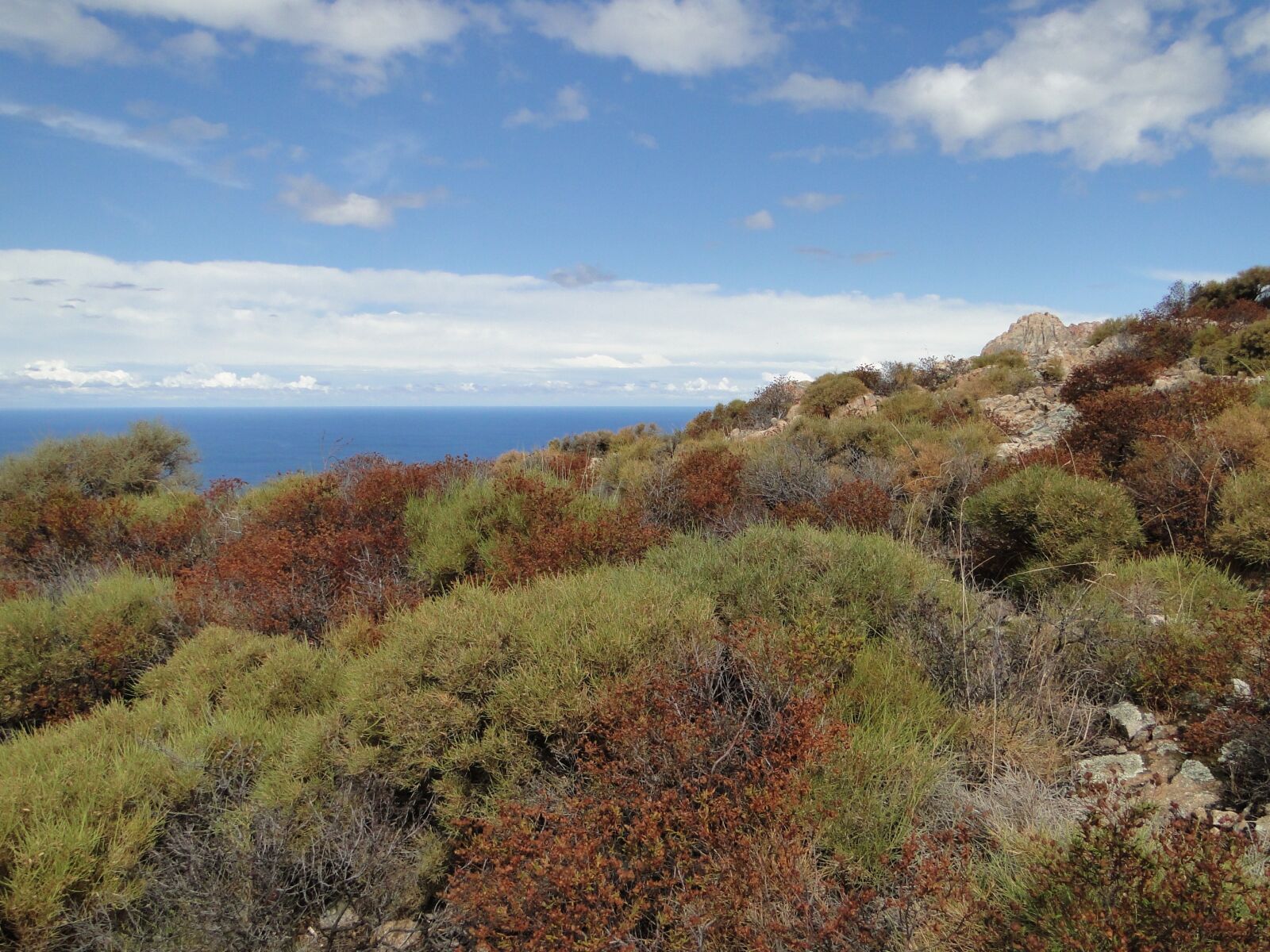 Sony Cyber-shot DSC-HX1 sample photo. Corsica, macchia, horizon photography
