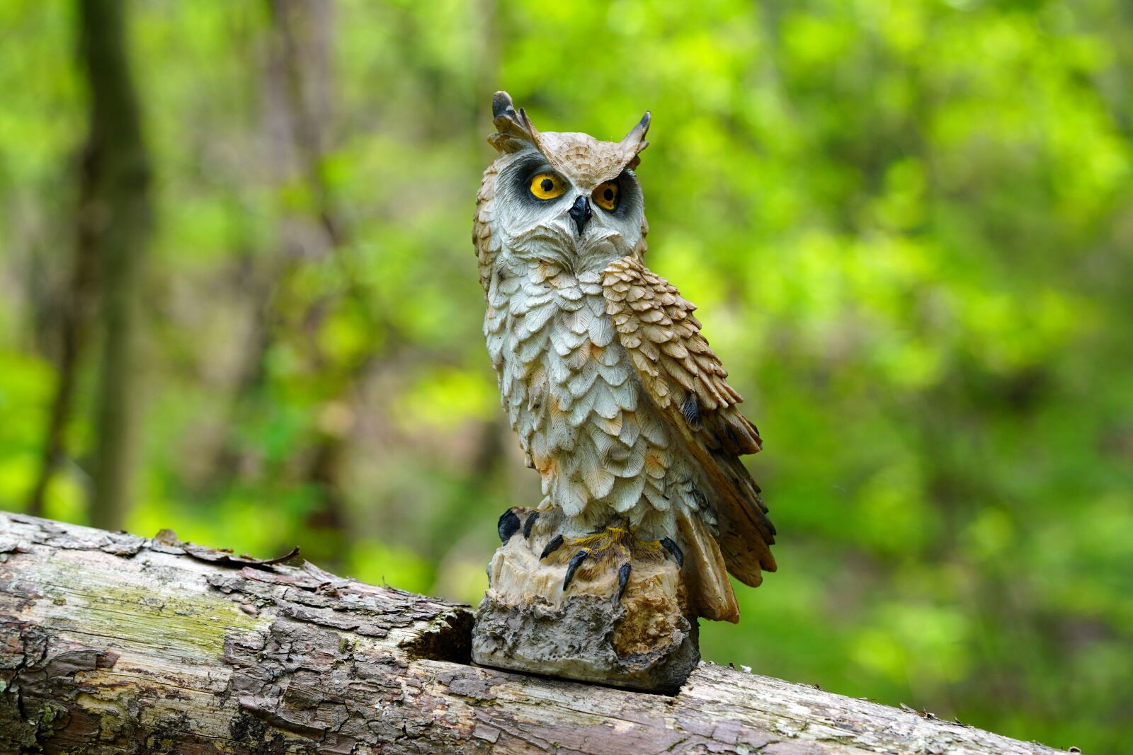 Sony a7R III sample photo. Owl, mountain, valley photography