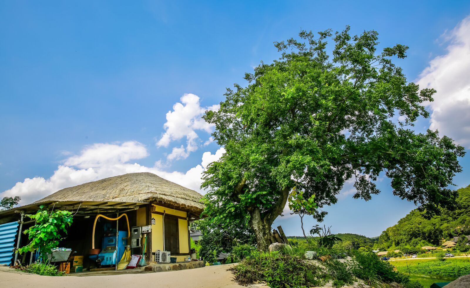 Canon EF 24-70mm F2.8L II USM sample photo. The house, ancient tree photography