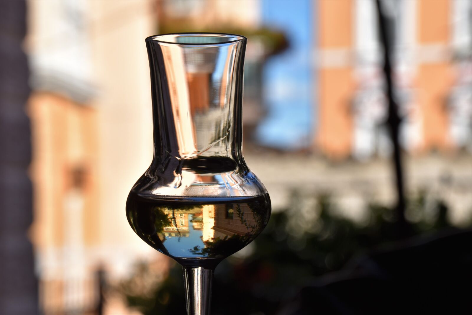 Nikon D5600 sample photo. Brandy, glass, alcohol photography