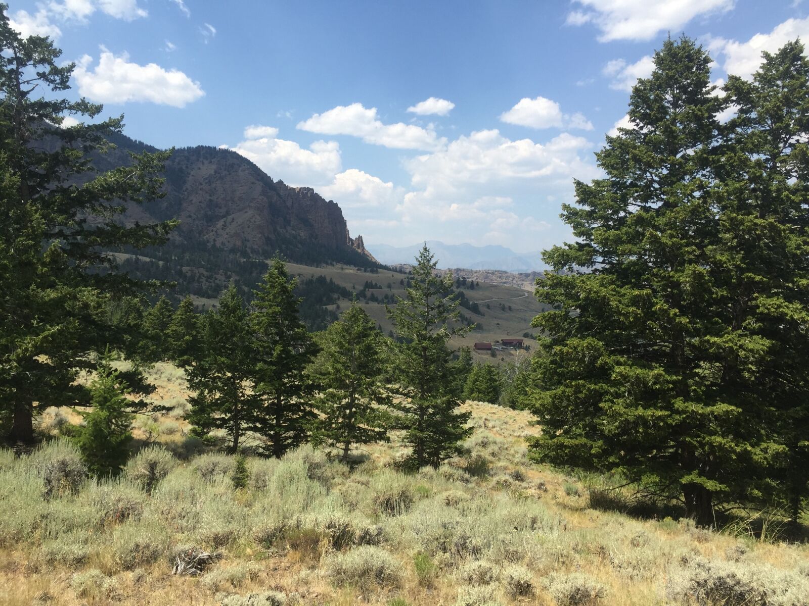 Apple iPhone 6 sample photo. Scene, trees, scenic photography
