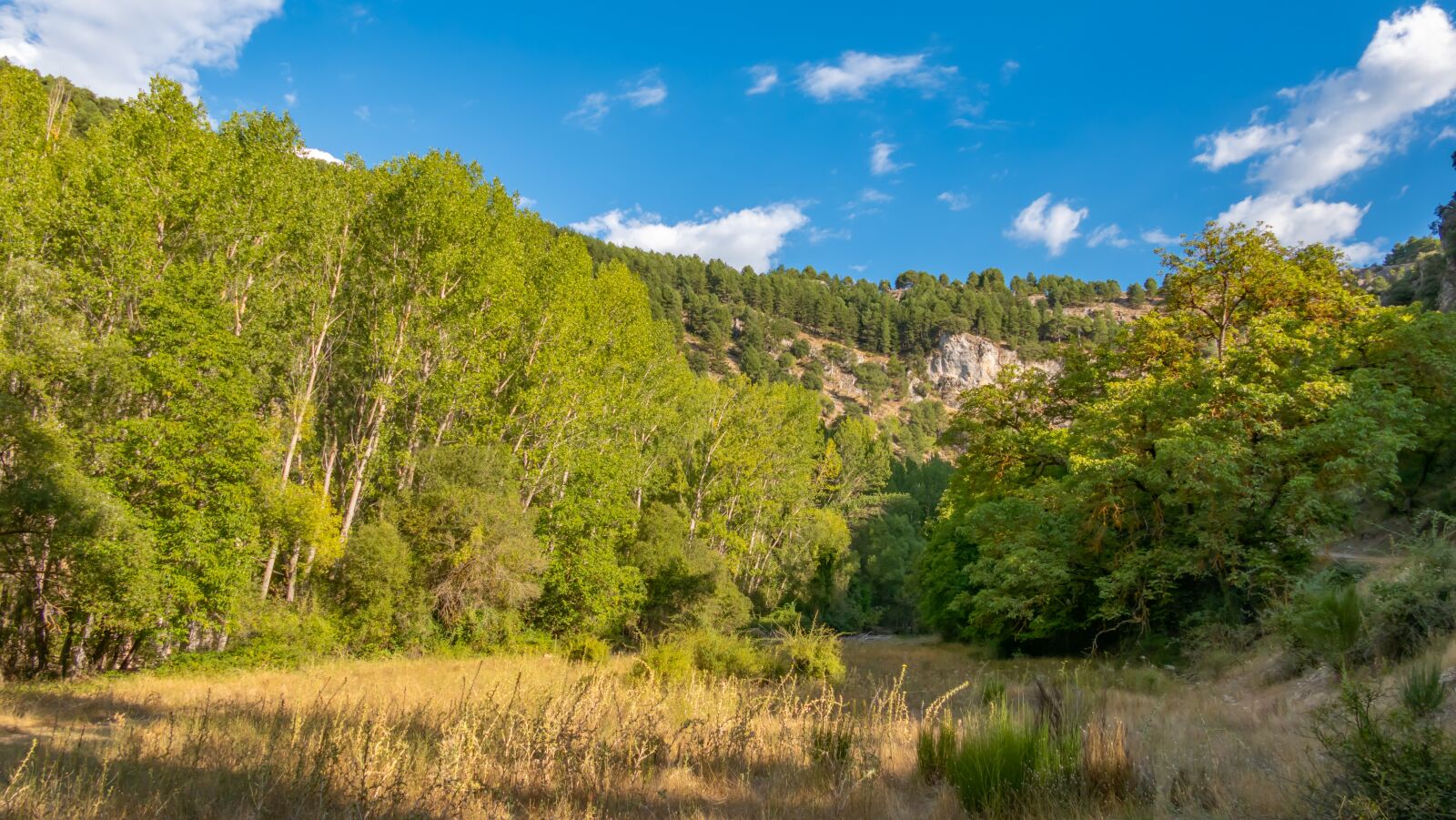 Panasonic DC-FZ10002 sample photo. Mountains, nature, landscape photography