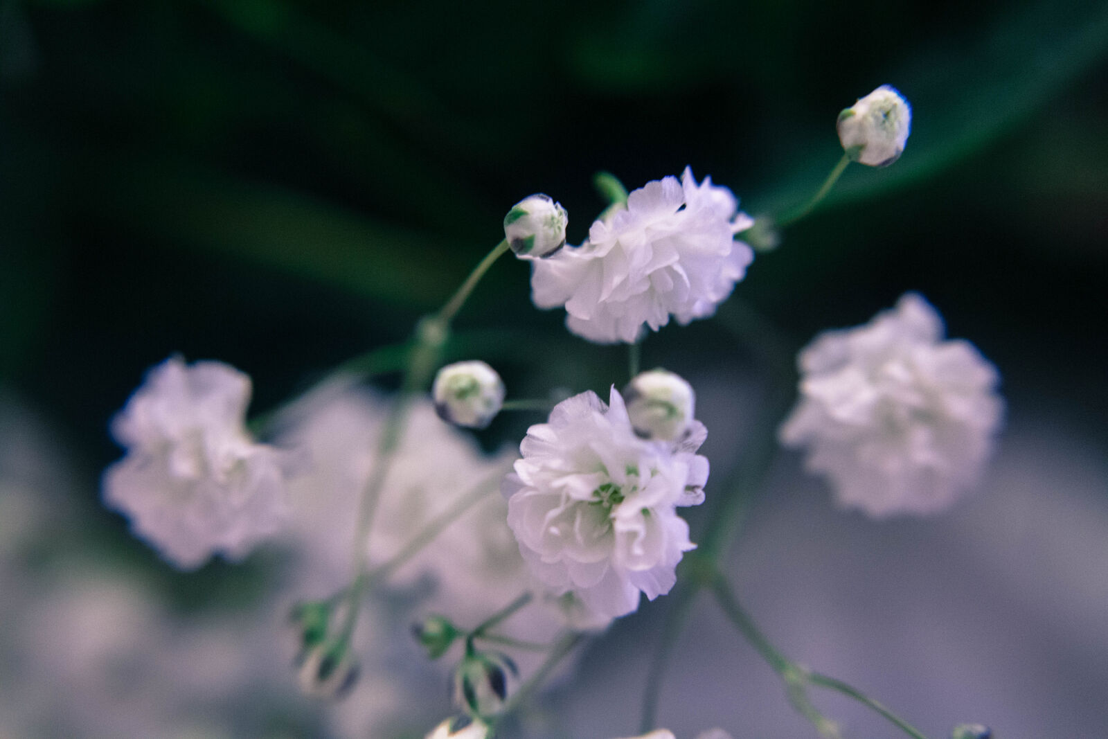 Canon EOS 700D (EOS Rebel T5i / EOS Kiss X7i) sample photo. Baby, s, breath, beautiful photography