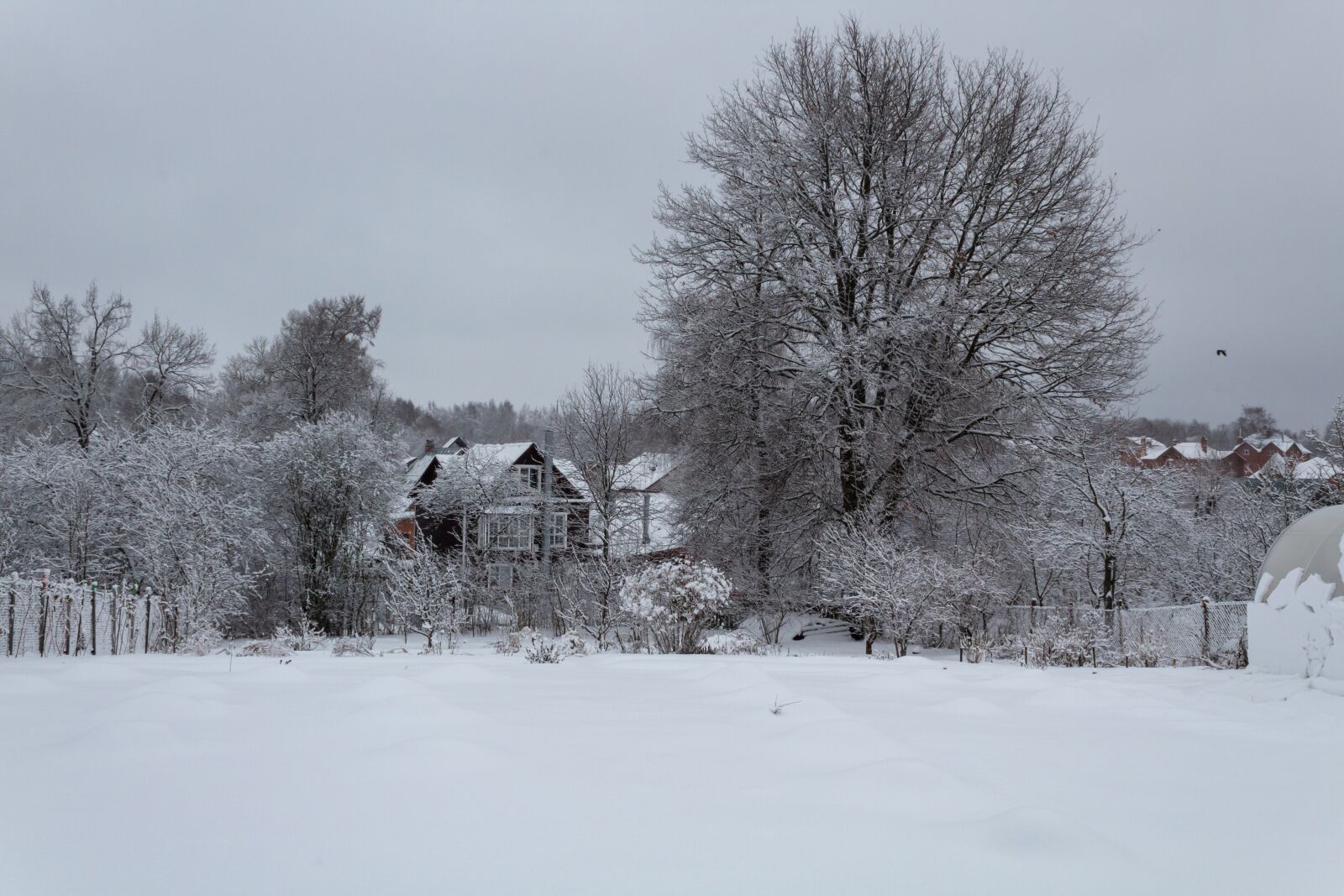 Canon EOS 1300D (EOS Rebel T6 / EOS Kiss X80) sample photo. Winter, landscape, snow photography