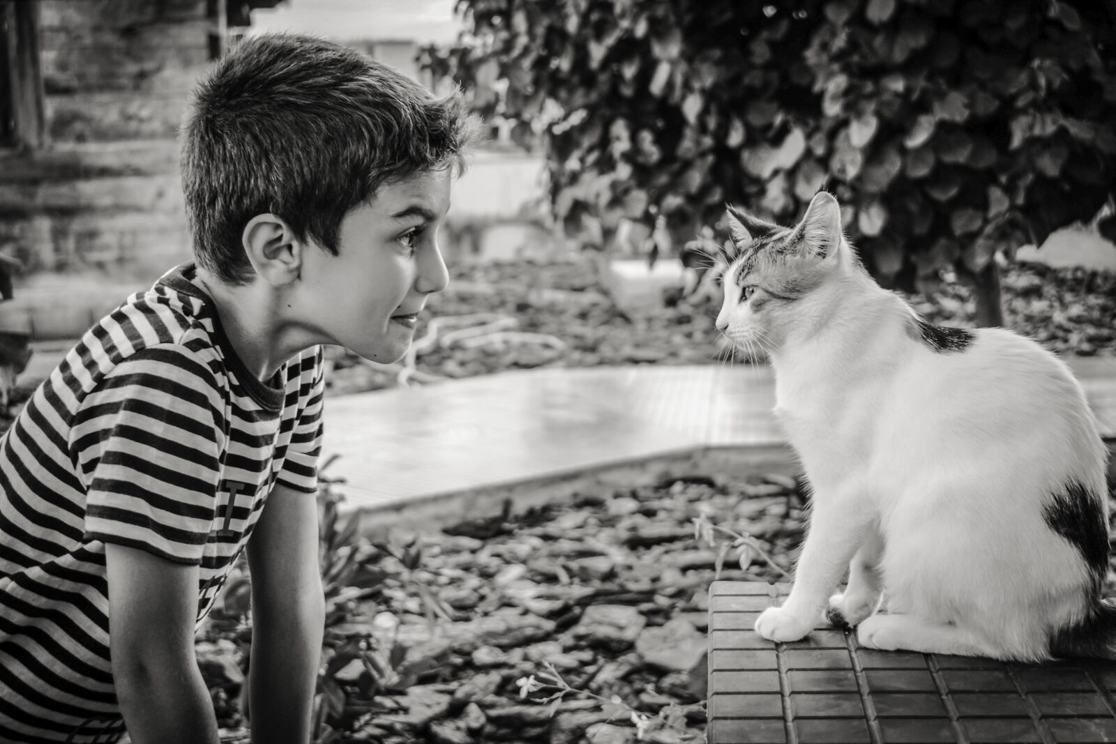 Nikon D3300 sample photo. Boy, cat, animal photography