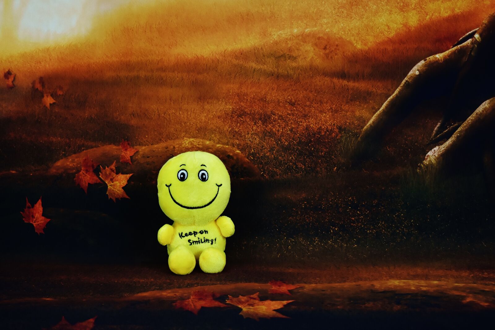 Nikon D7200 sample photo. Smiley, funny, yellow photography