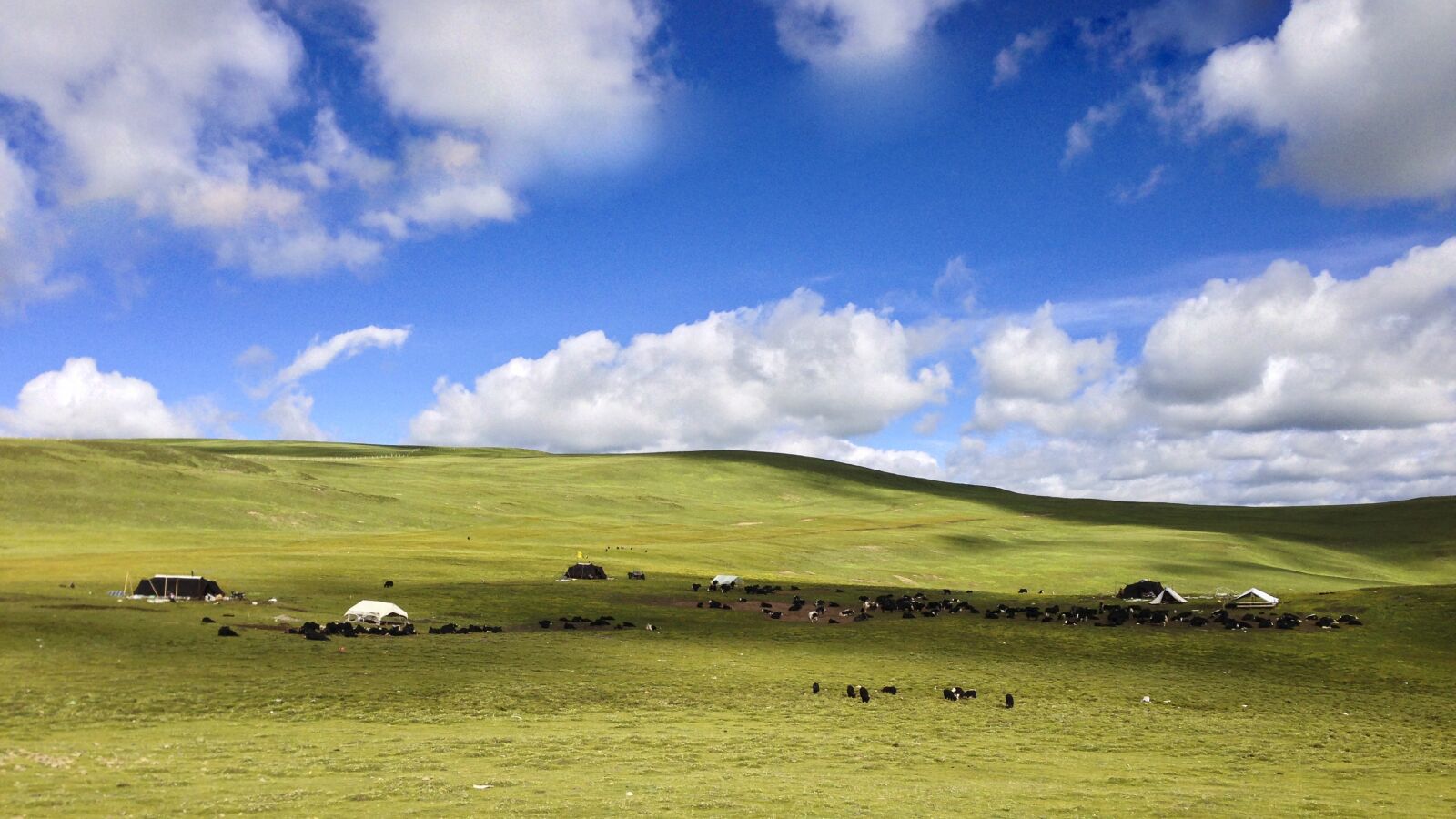 Apple iPhone 5 sample photo. Prairie, blue sky, white photography