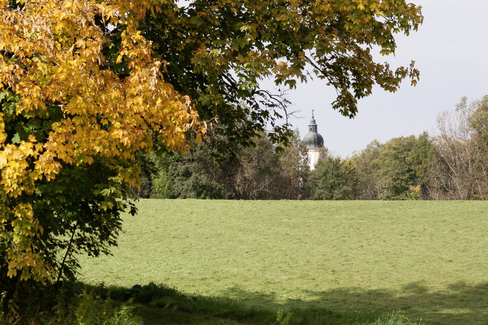 Canon EOS 50D sample photo. Autumn, meadow, mowed photography