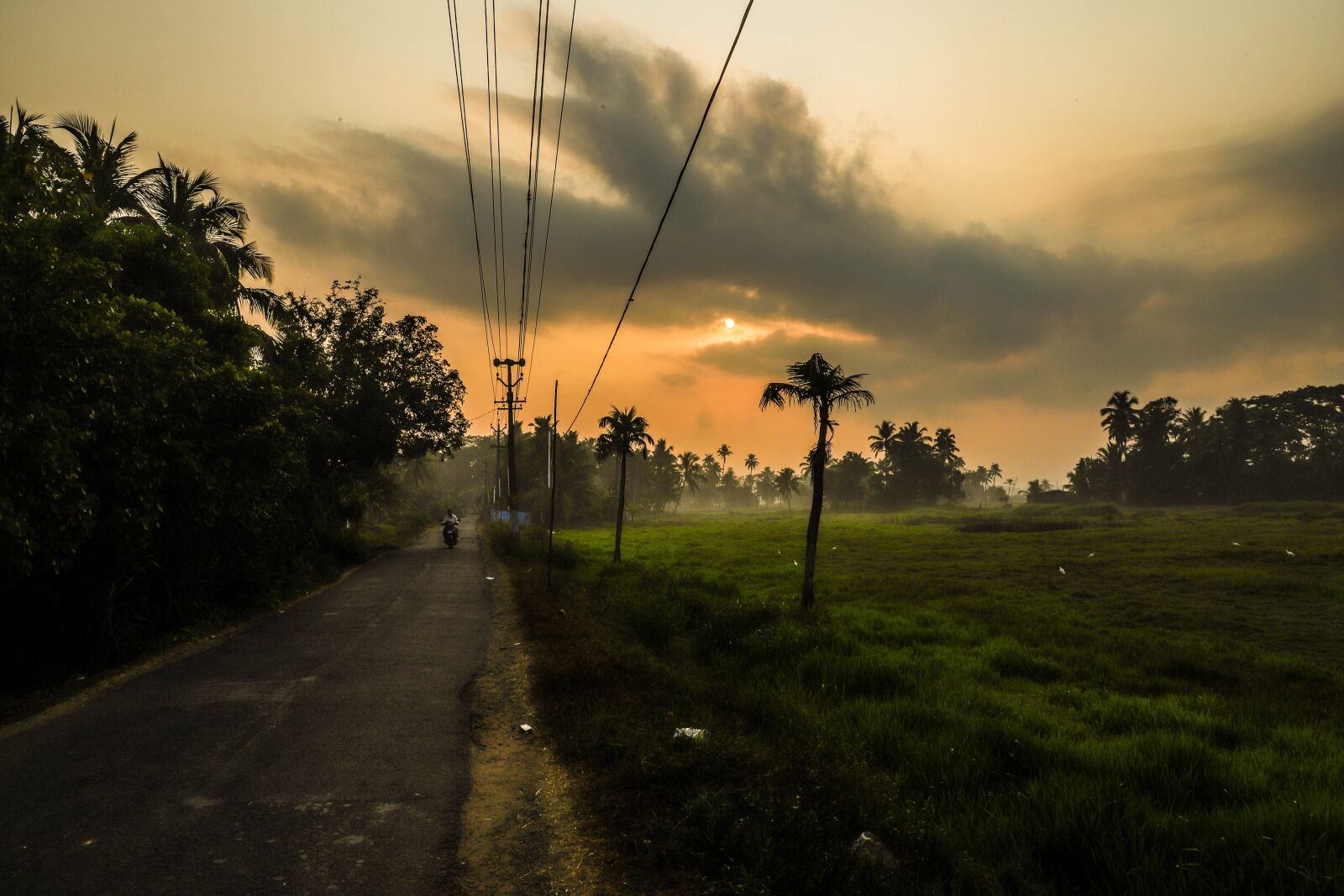Canon EOS 6D Mark II sample photo. Sun, nature, landscape photography