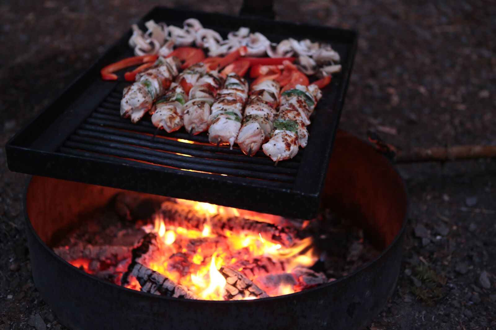 Canon EOS 6D + Canon EF 24-70mm F2.8L USM sample photo. Grilling, fire, eat photography