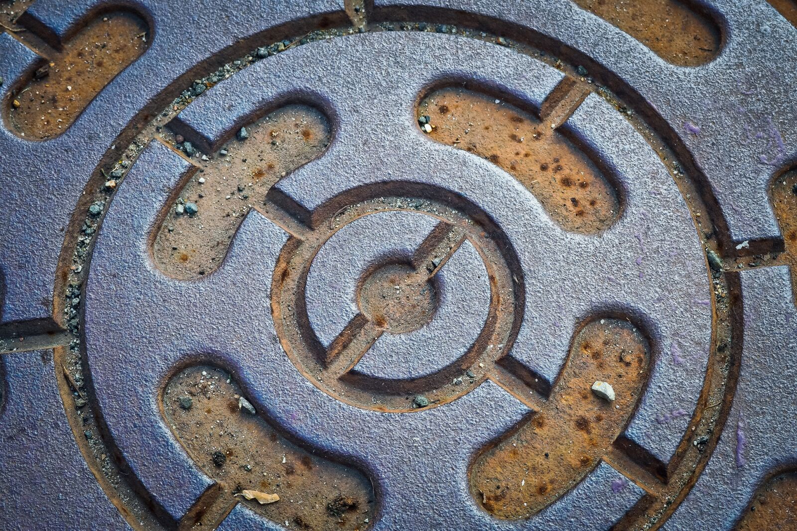 Olympus OM-D E-M10 sample photo. Gulli, steel, metal plate photography