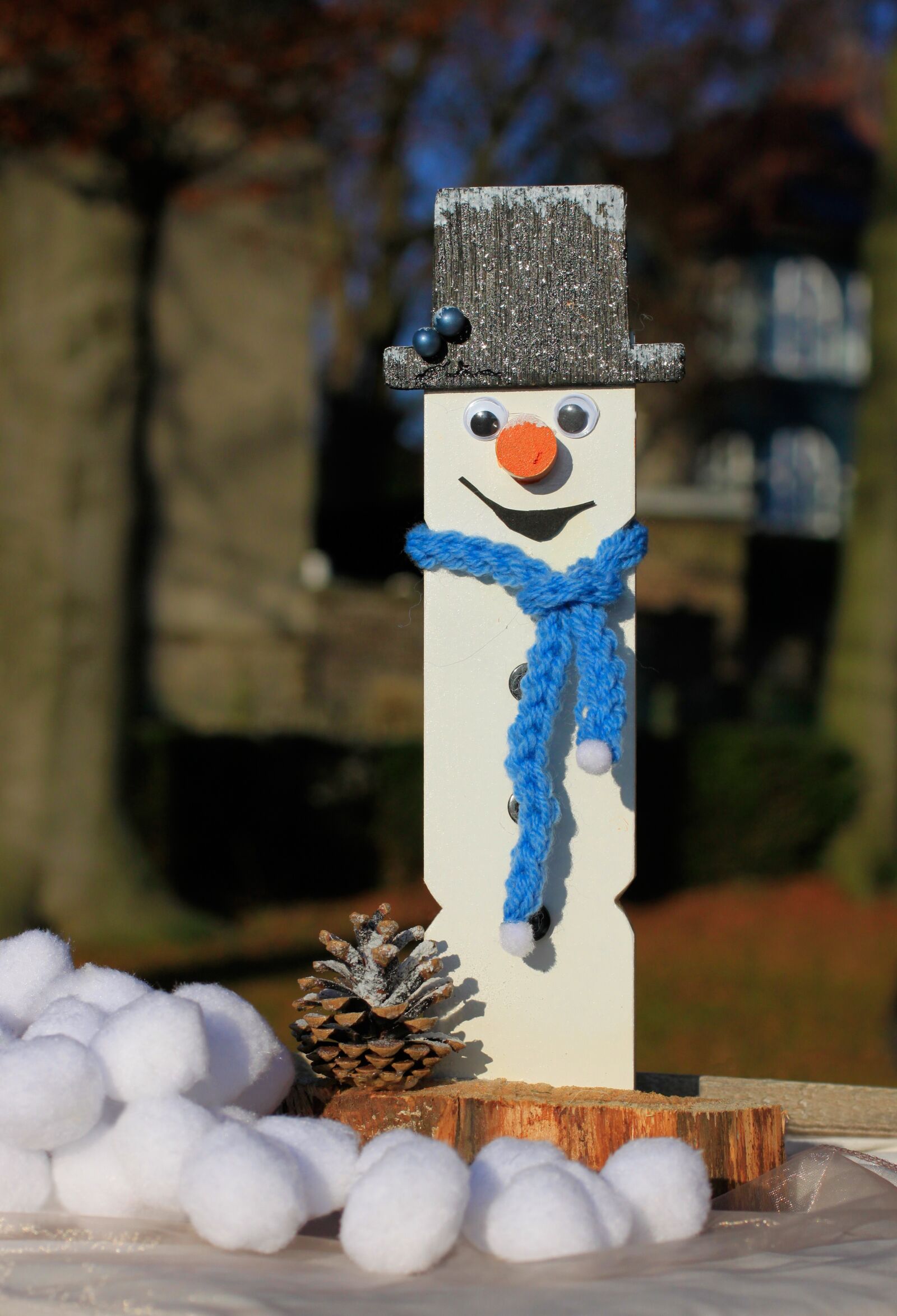 Canon EOS 500D (EOS Rebel T1i / EOS Kiss X3) sample photo. Snowman, snow, scarf photography