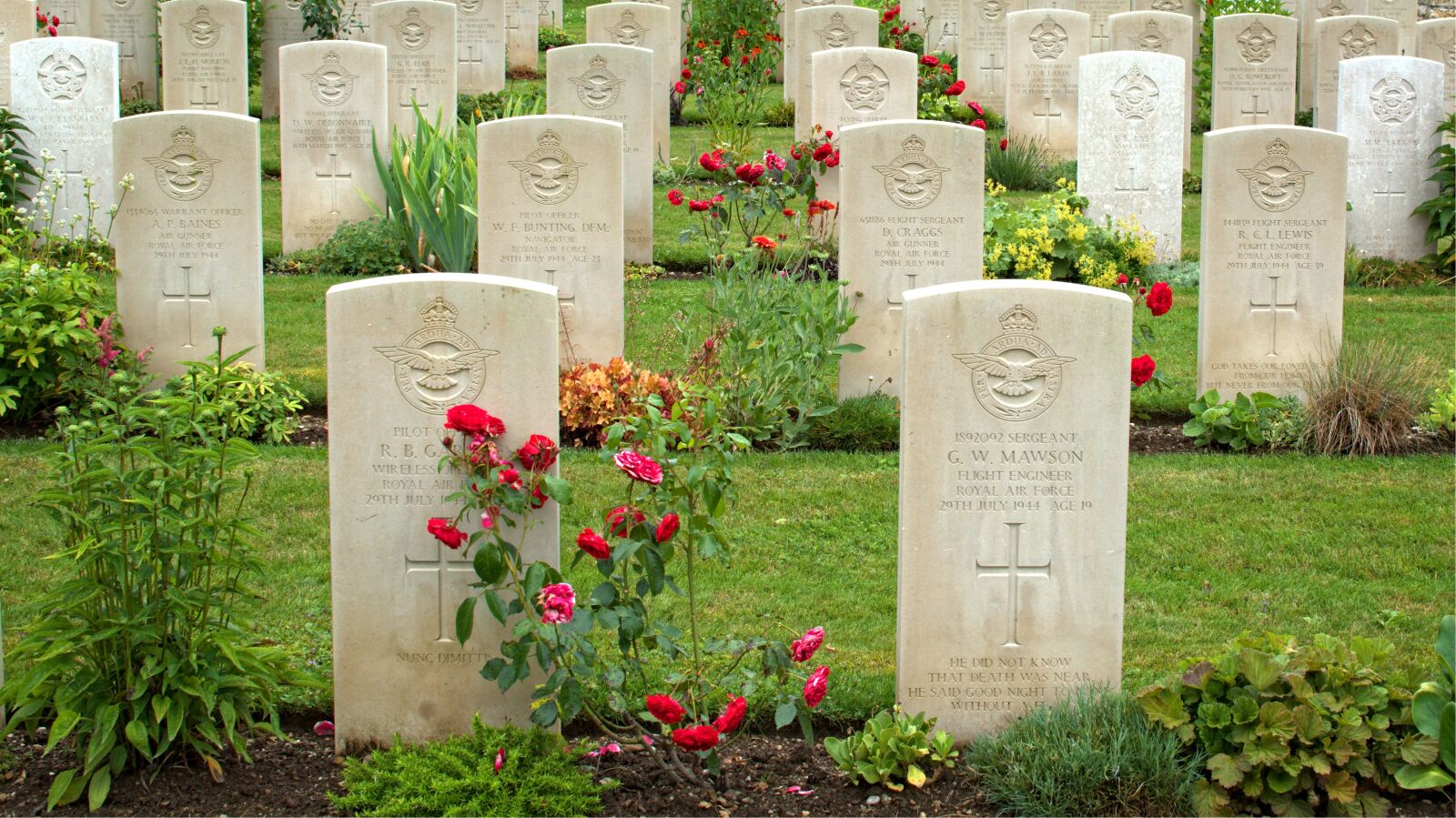 Nikon D7100 sample photo. War, world war, memorial photography