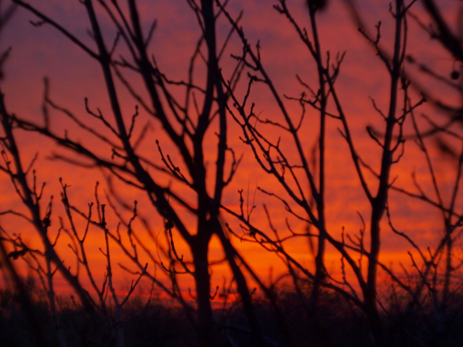 Olympus E-420 (EVOLT E-420) sample photo. Sunset, handsomely, sky photography