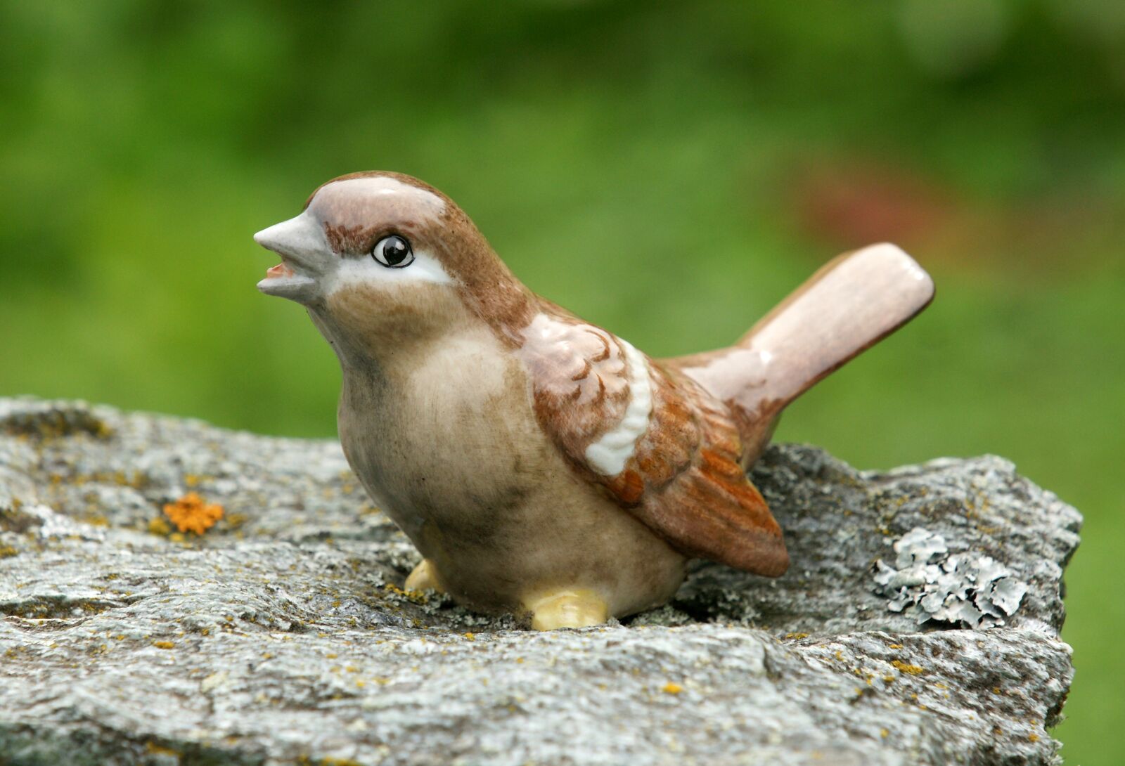 Sony Alpha DSLR-A700 sample photo. Bird, stone, art photography
