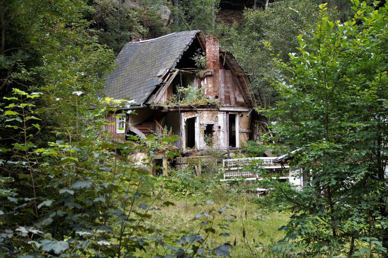 Sony SLT-A58 sample photo. Basket case, old house photography
