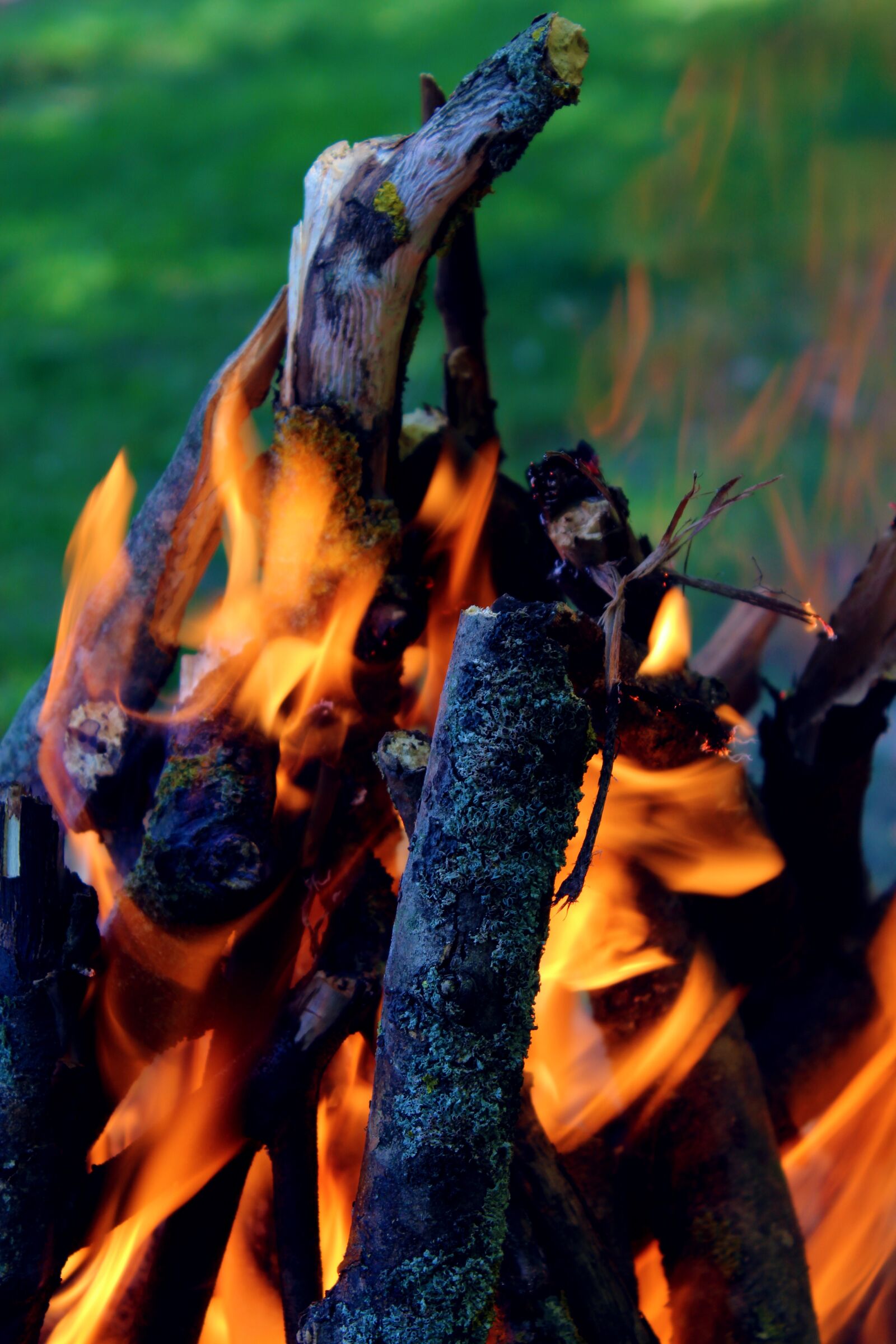 Canon EOS 1200D (EOS Rebel T5 / EOS Kiss X70 / EOS Hi) sample photo. Fire, flama, wood photography