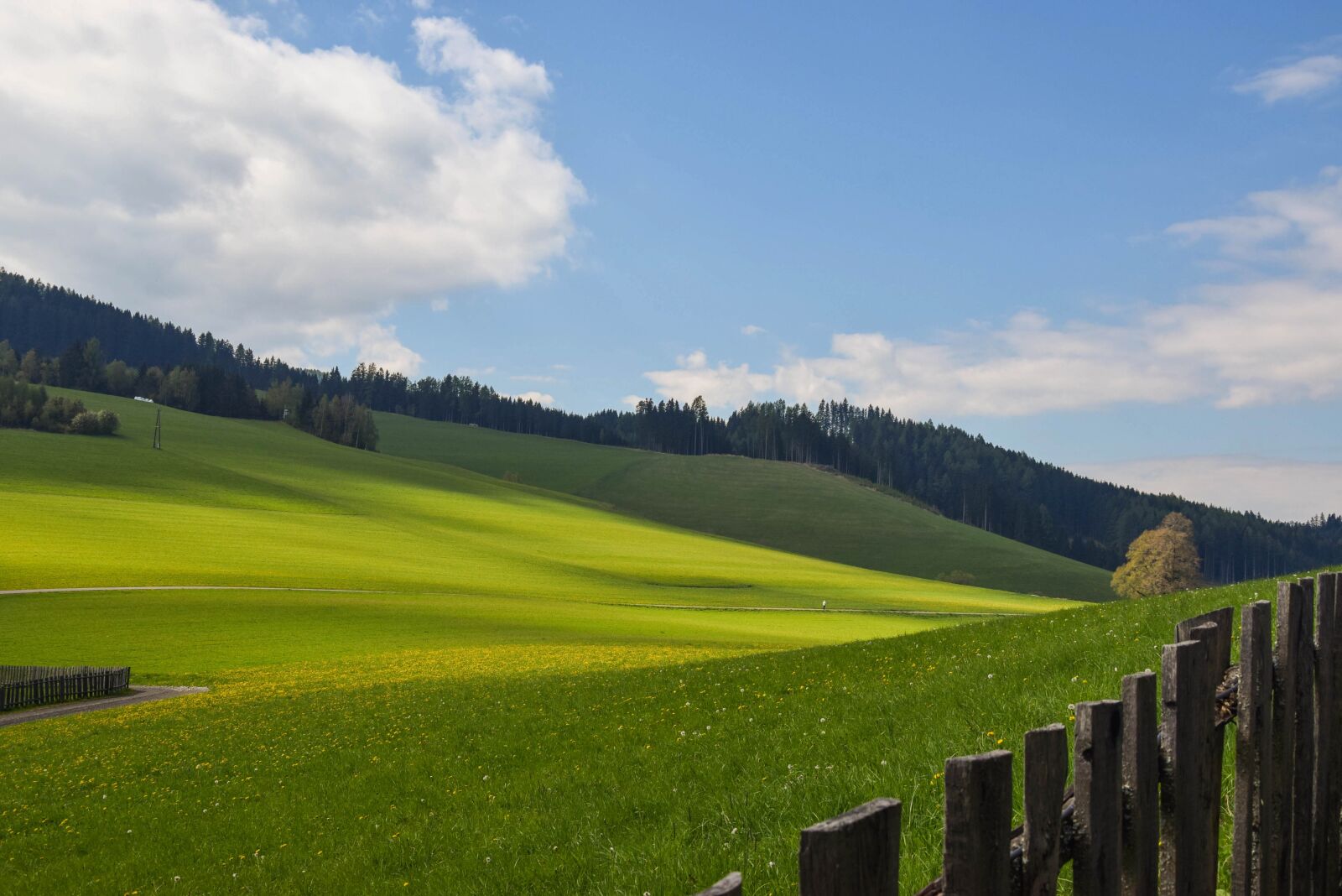 Nikon D3300 sample photo. Meadow, green, landscape photography