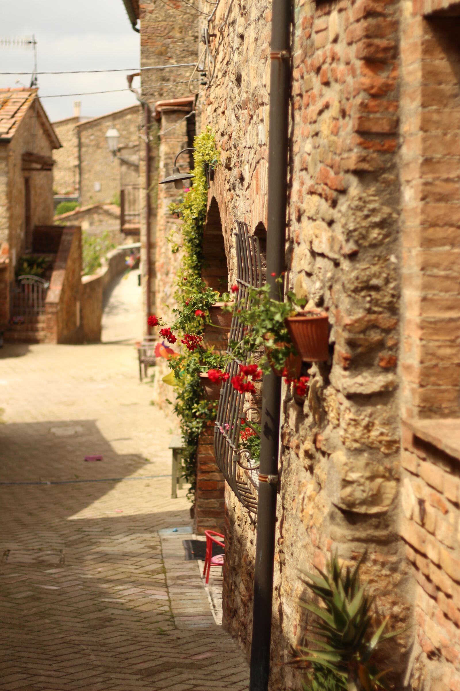 Canon EOS 700D (EOS Rebel T5i / EOS Kiss X7i) sample photo. Italy, via, tuscany photography