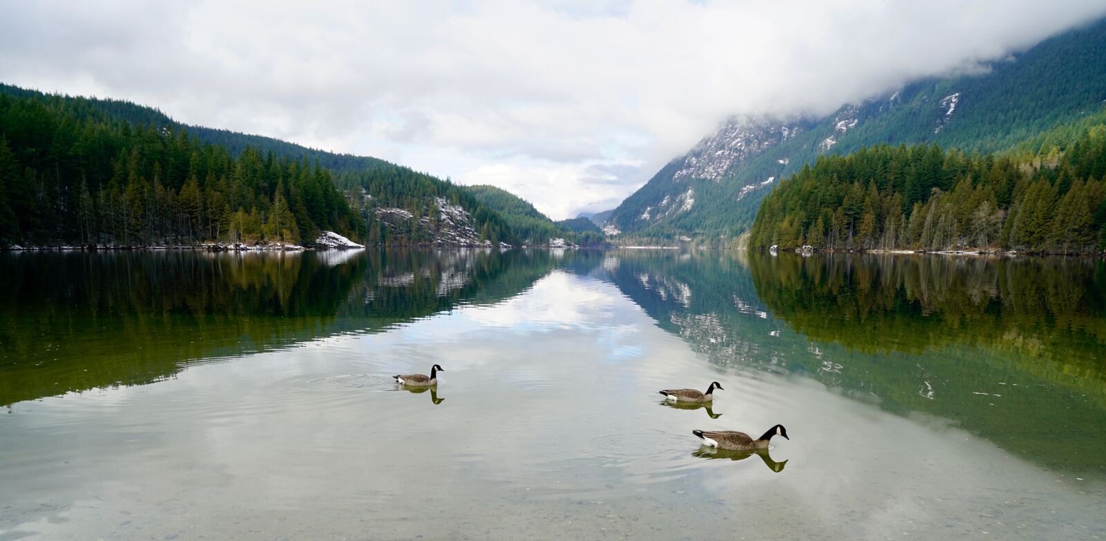 Sony a7R II + Sony Vario Tessar T* FE 24-70mm F4 ZA OSS sample photo. Buntzen lake, british columbia photography