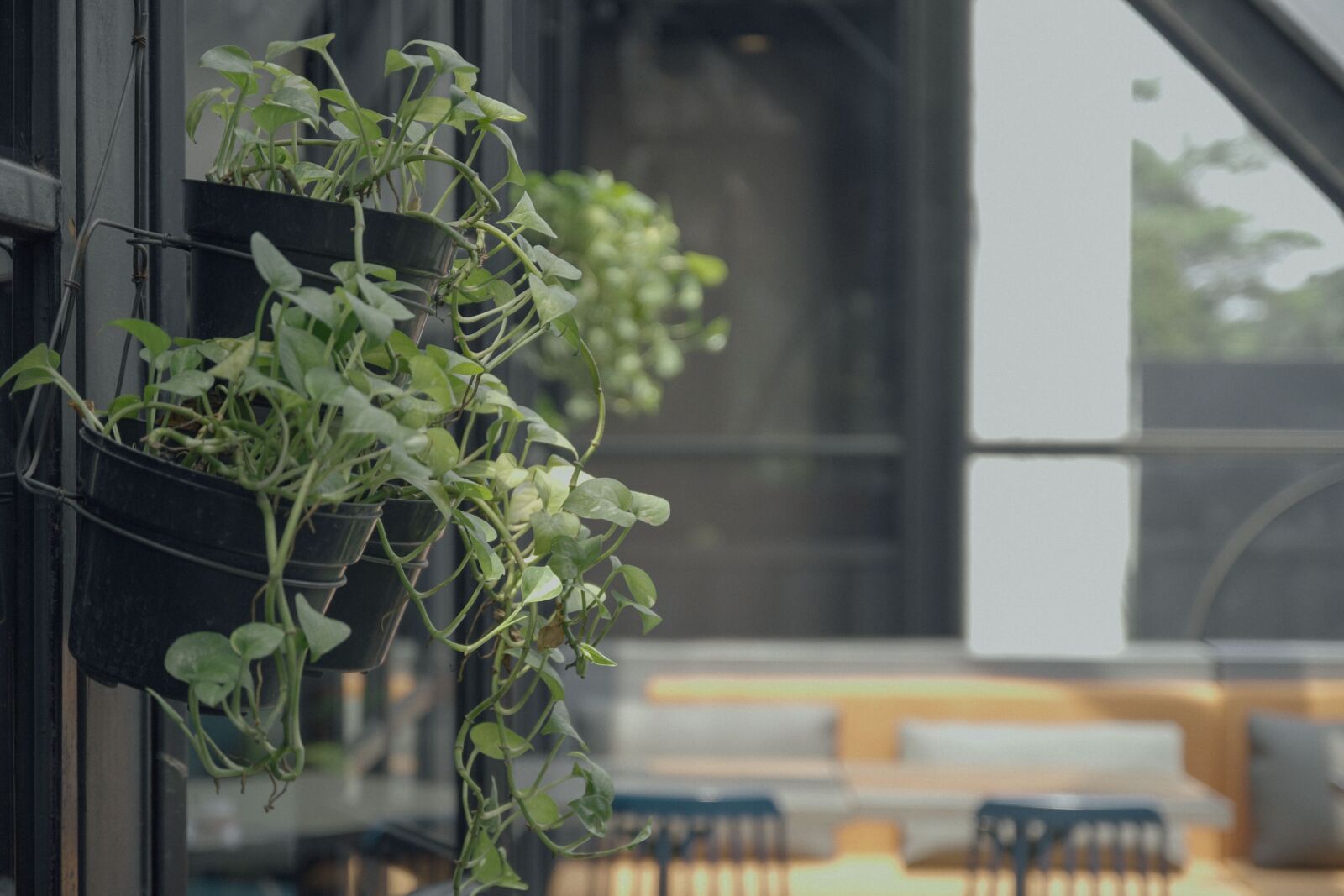 Sony a6500 sample photo. Hangout, places, green photography