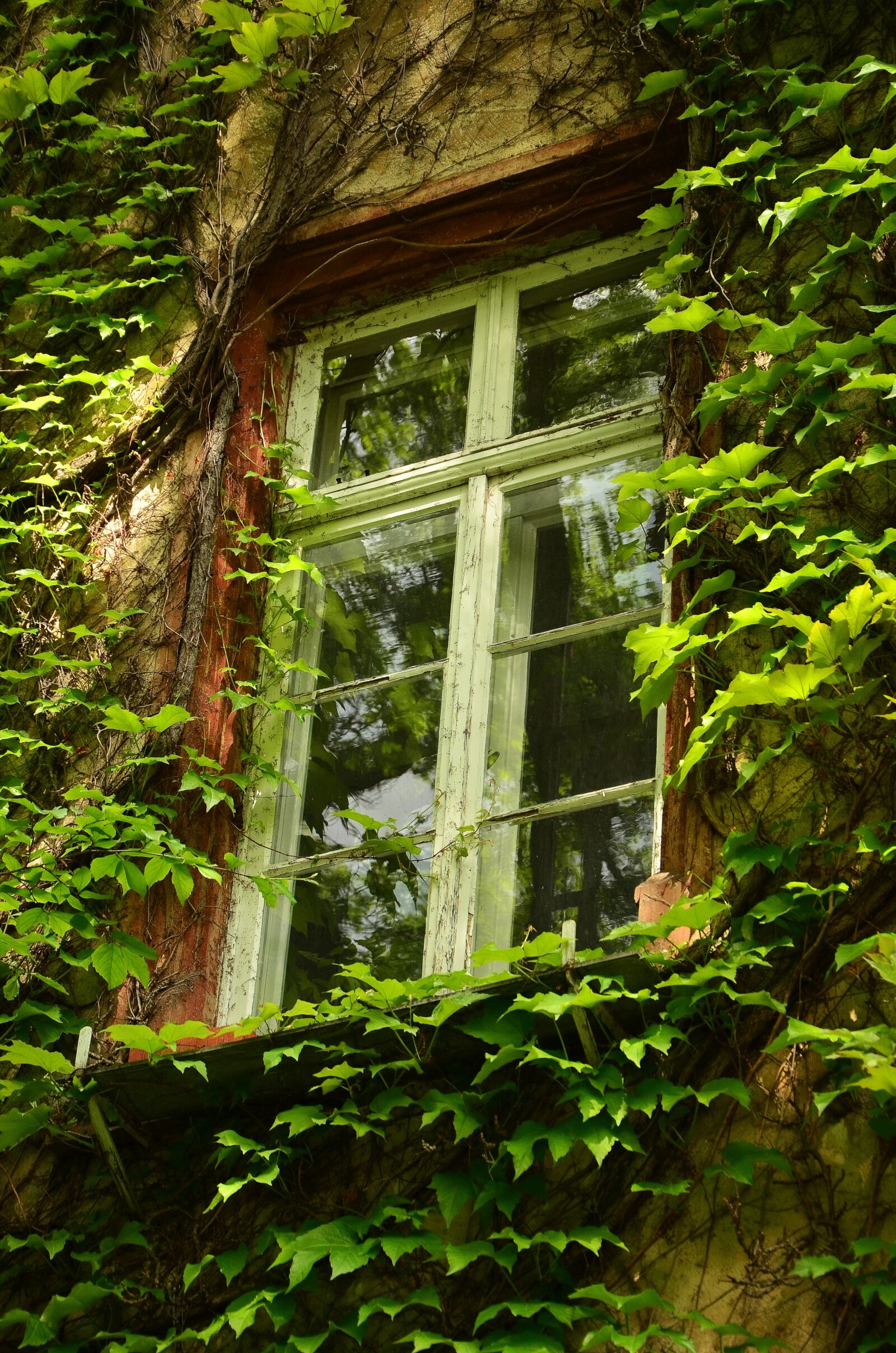 Nikon D5100 sample photo. Window, old window, aesthetic photography