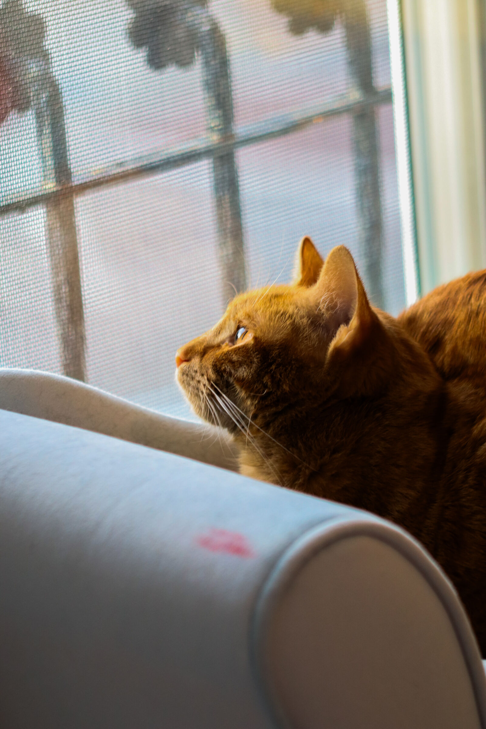Canon EOS R100 sample photo
