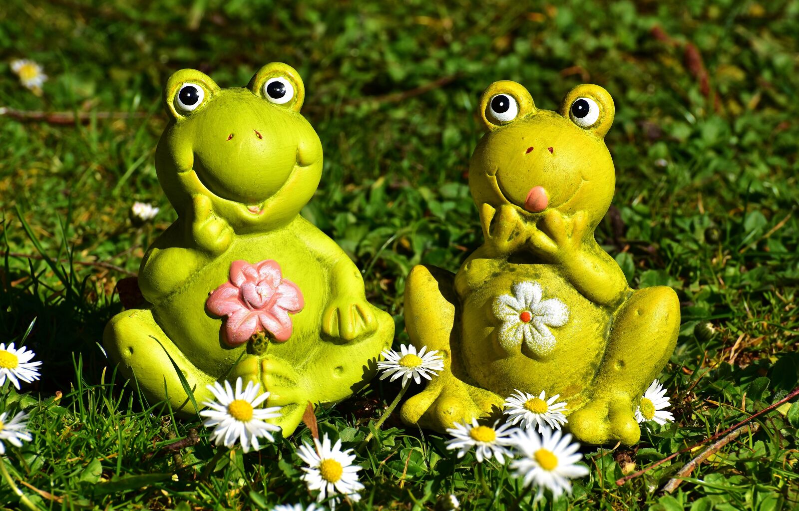 Nikon D7200 sample photo. Frogs, figures, funny photography