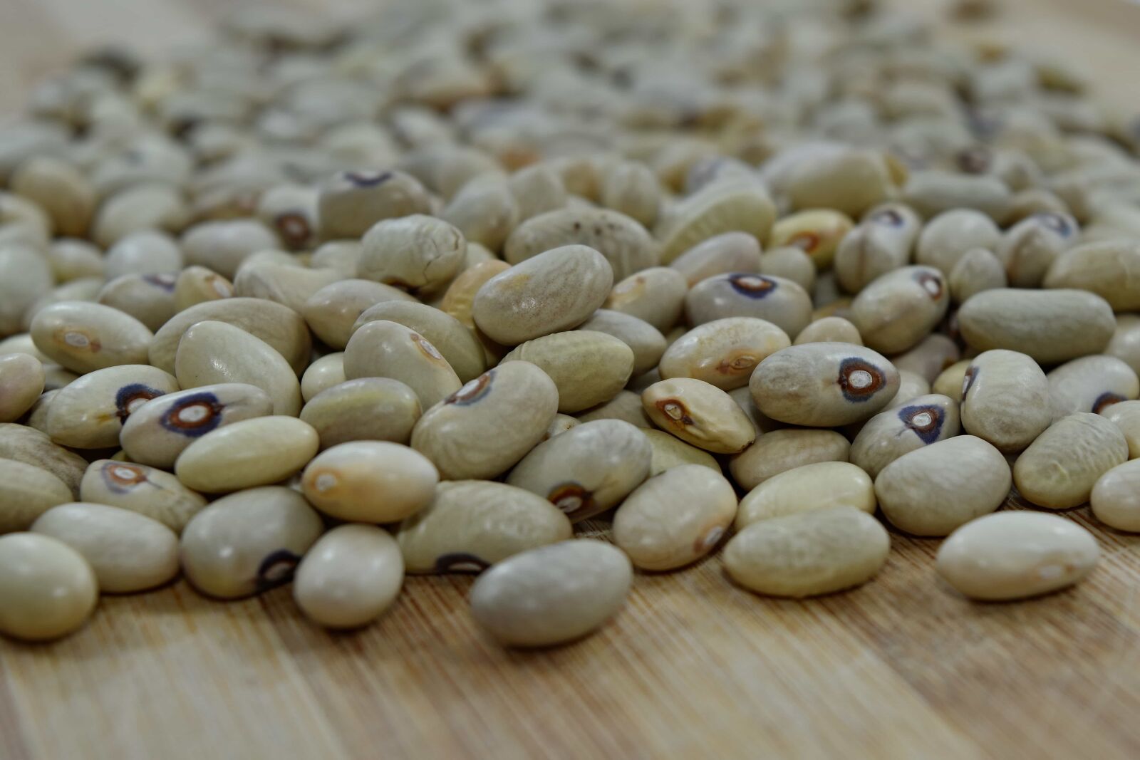Nikon D5500 sample photo. Beans, vegetable, ingredients, nutrition photography